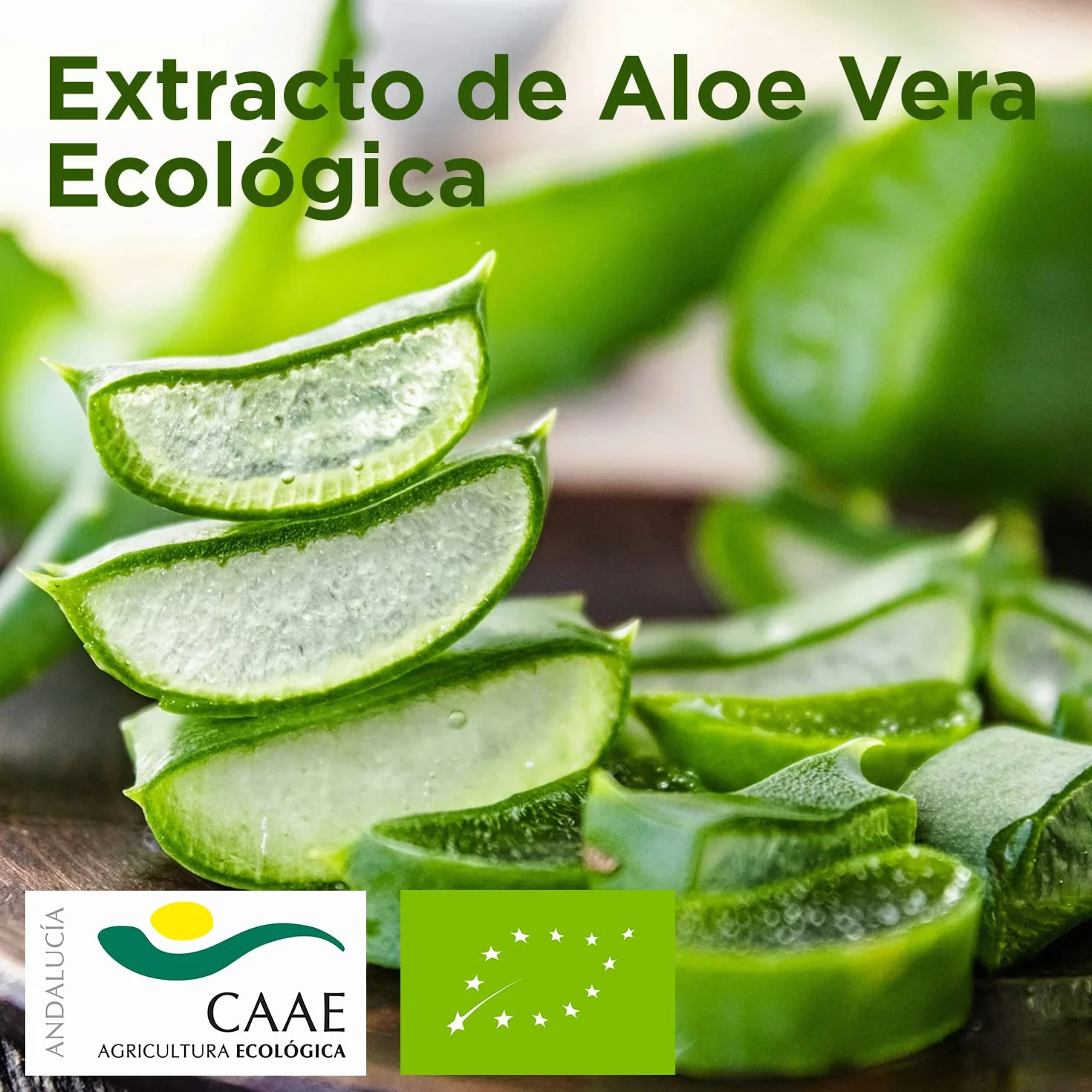 Gel de ducha pack 4 garrafa 5L ph neutro aloe vera natural ecológica 5 litros