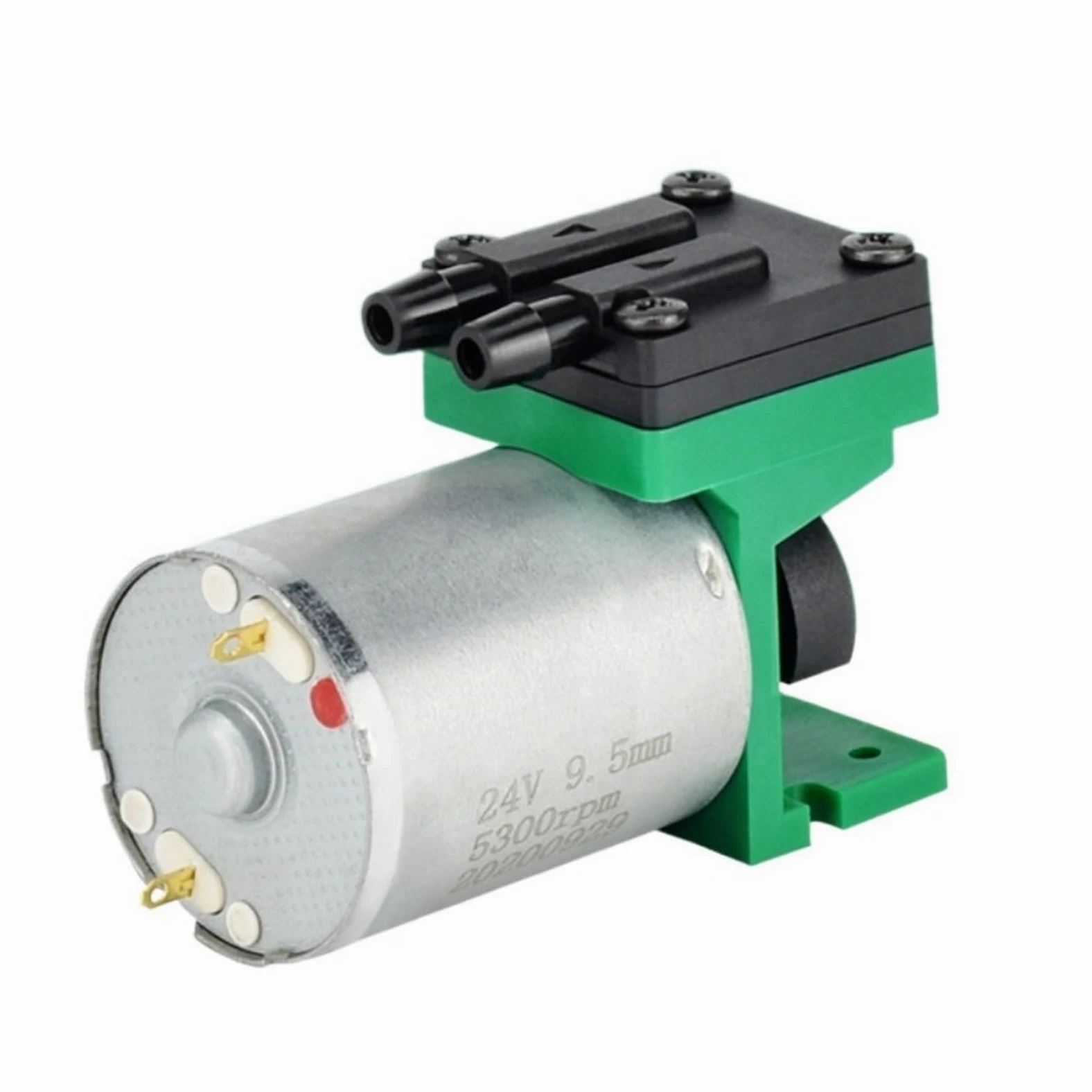 DEBLAN Micro Bomba de vacío con Cepillo de 6v, Bomba de Aire pequeña de muestreo de 12v, Bomba de presión Negativa de 24v(12V)