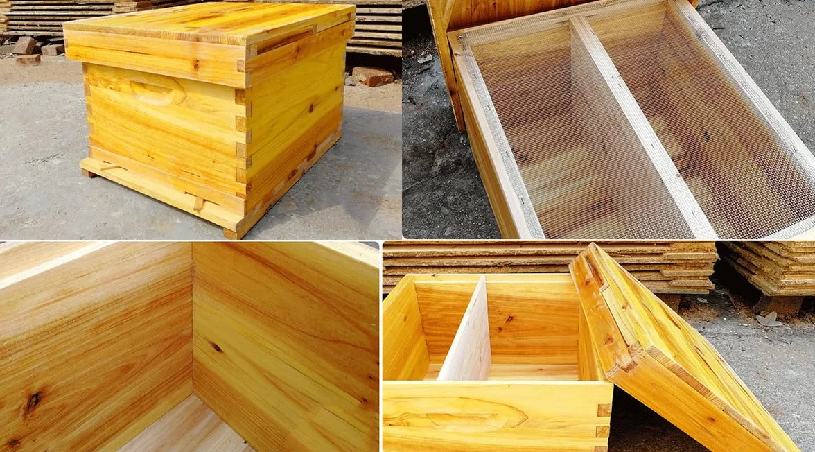 Kit de Colmena de Abejas de Madera 10 Marcos con Caja Profunda Madera de, Colmena de abejas melíferas - Ideal para Principiantes y Apicultores Profesionales - Fabricación Sostenible y Duradera