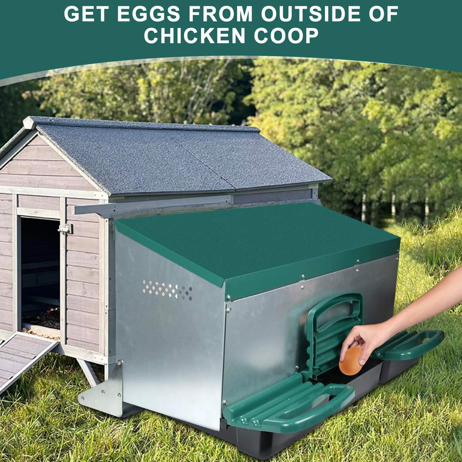 Cajas de Metal con 3 Agujeros para Poner Huevos