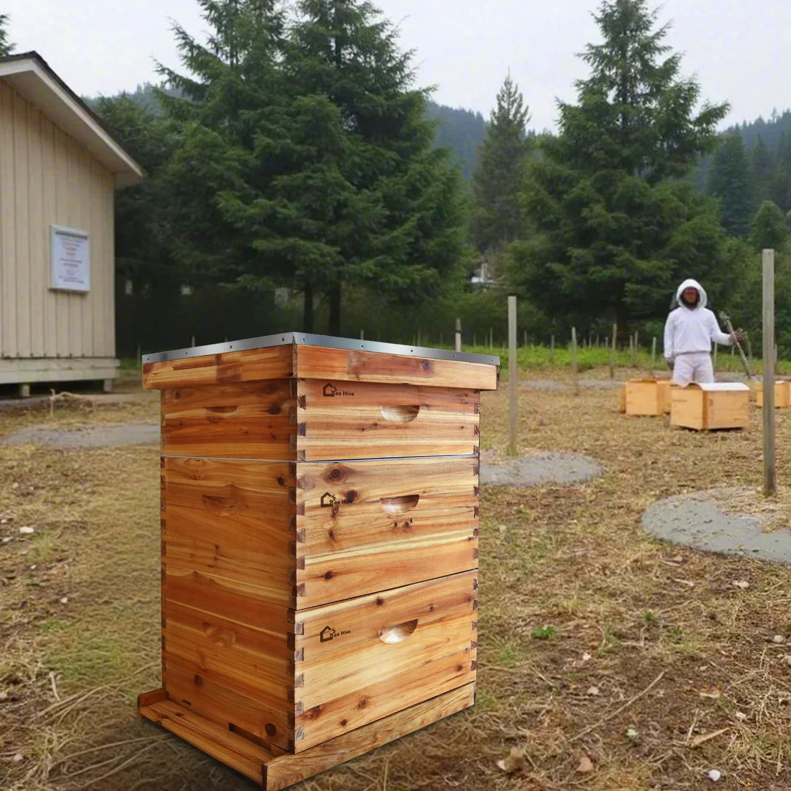 Juego de iniciación de colmena, caja de almacenamiento con 2 cajas profundas + 1 caja media, botín de madera maciza con 10 marcos y base encerada, colmena de abejas sostenible