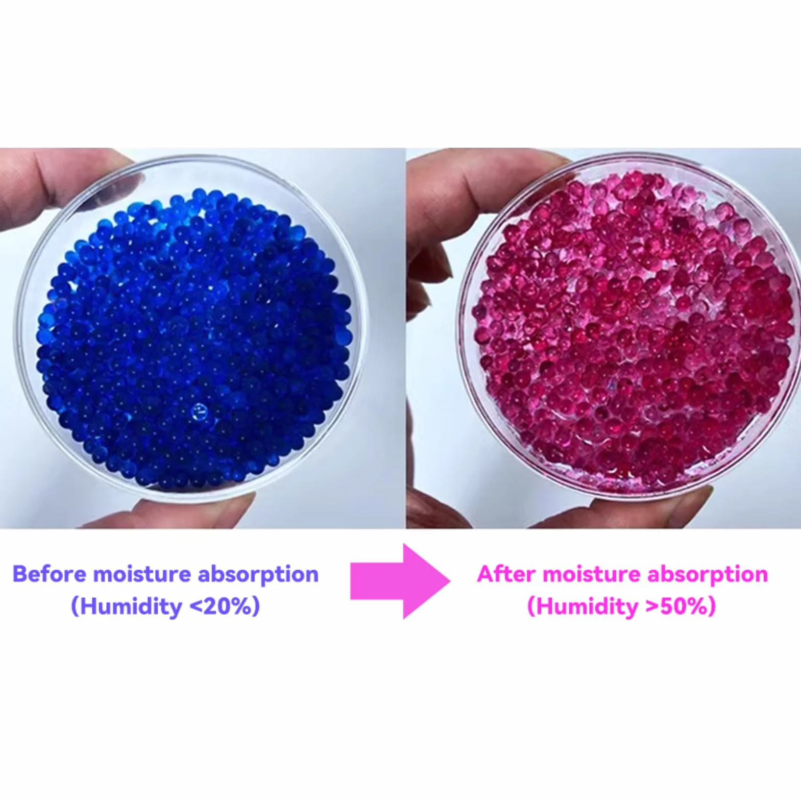 MAGT Perlas de Gel de Sílice Desecante Reutilizable 530g para Cámara, Microscopio