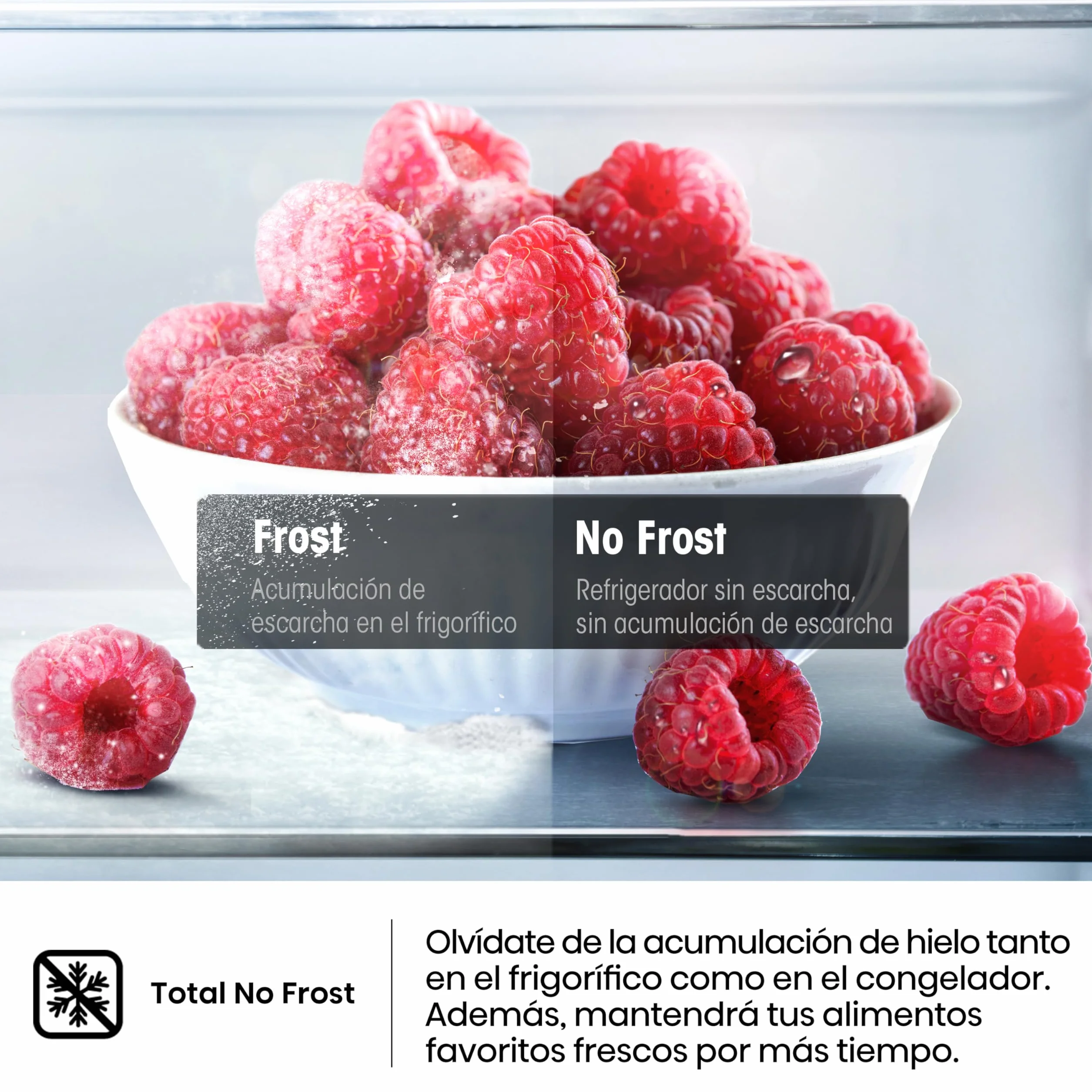 Hisense Congelador FV191N4AW2 TotalNoFrost Superfreeze 147L 205 kWh Blanco