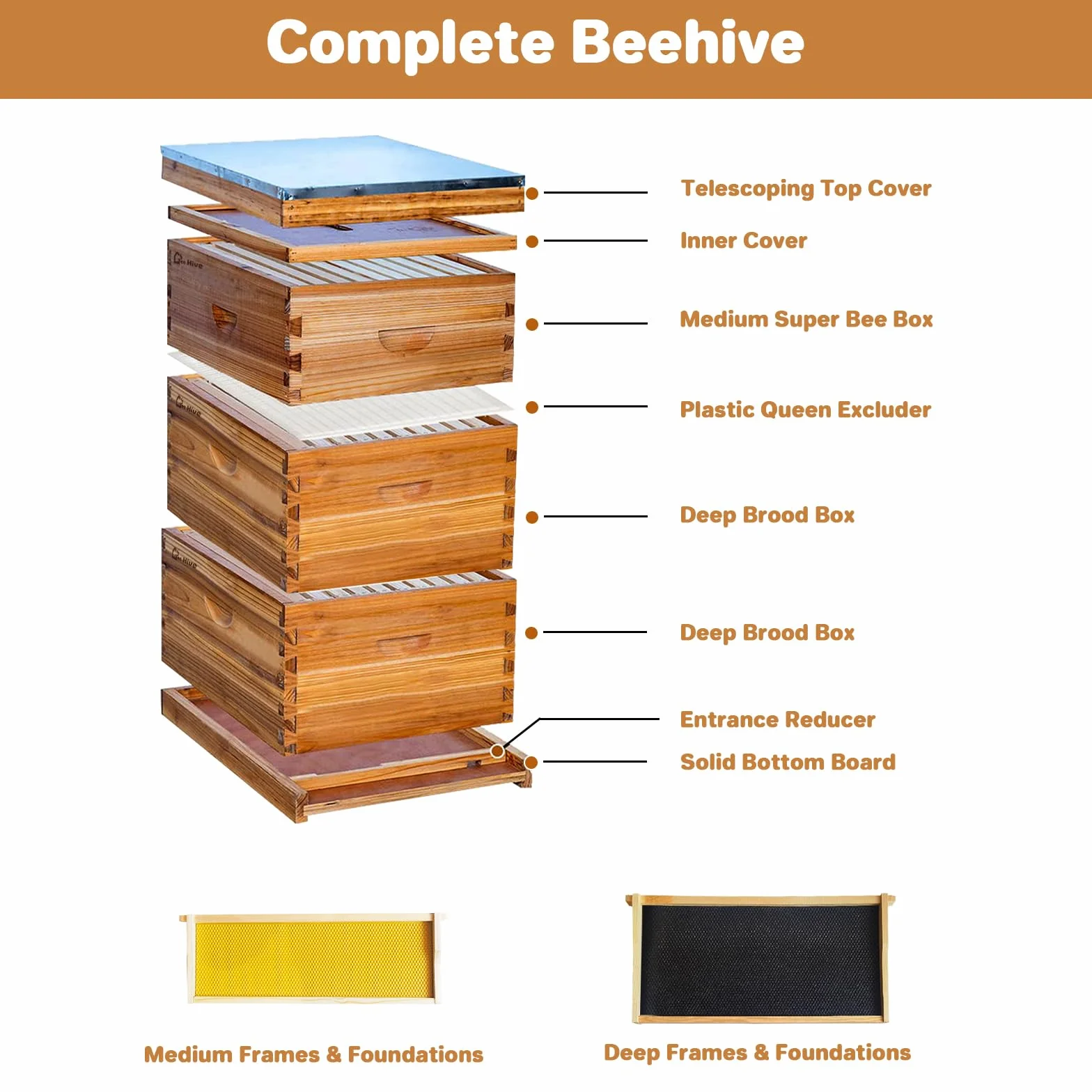 Juego de iniciación de colmena, caja de almacenamiento con 2 cajas profundas + 1 caja media, botín de madera maciza con 10 marcos y base encerada, colmena de abejas sostenible