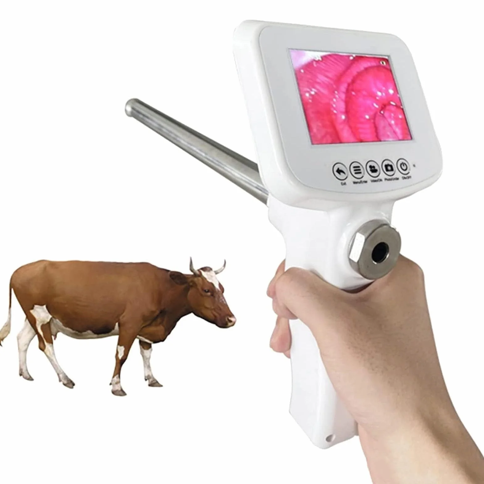 Vaca Dispositivo de Inseminación Artificial Vaca Endoscopio Visual Pistola AI Herramientas Kit de cría Veterinaria para el Ganado de Caballos