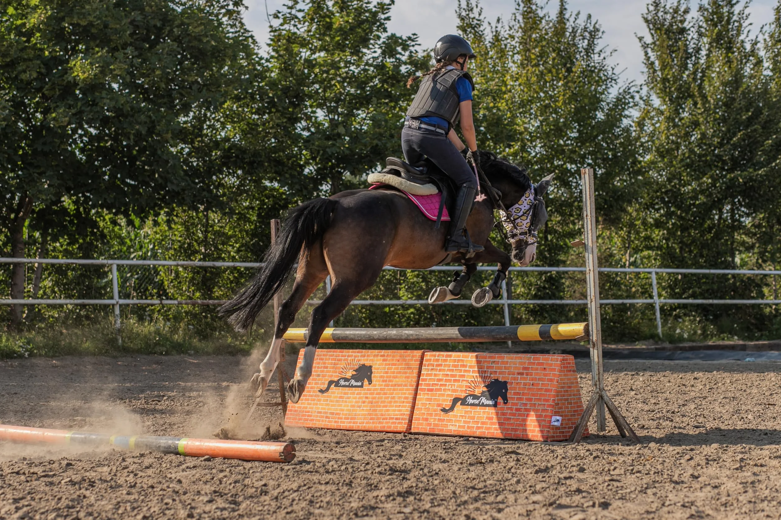 HorseMania Torneo Muro para Caballo – Pared de Espuma 110x40x50 Entrenamiento Rebote Movilidad