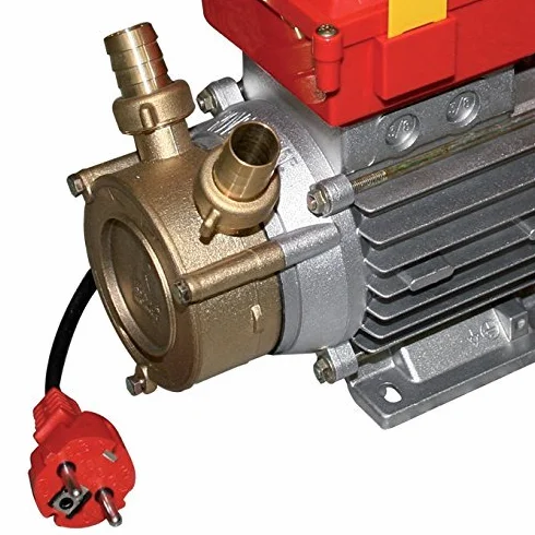 Eléctrico Bomba de Transferencia Rover Mod. 40 HP 1