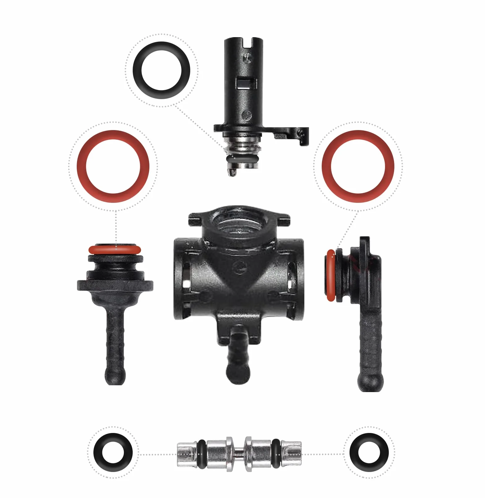 Junta Tórica do Válvula de Soporte Vapor y Salida para Phillips Saeco Spidem Gaggia Set 2