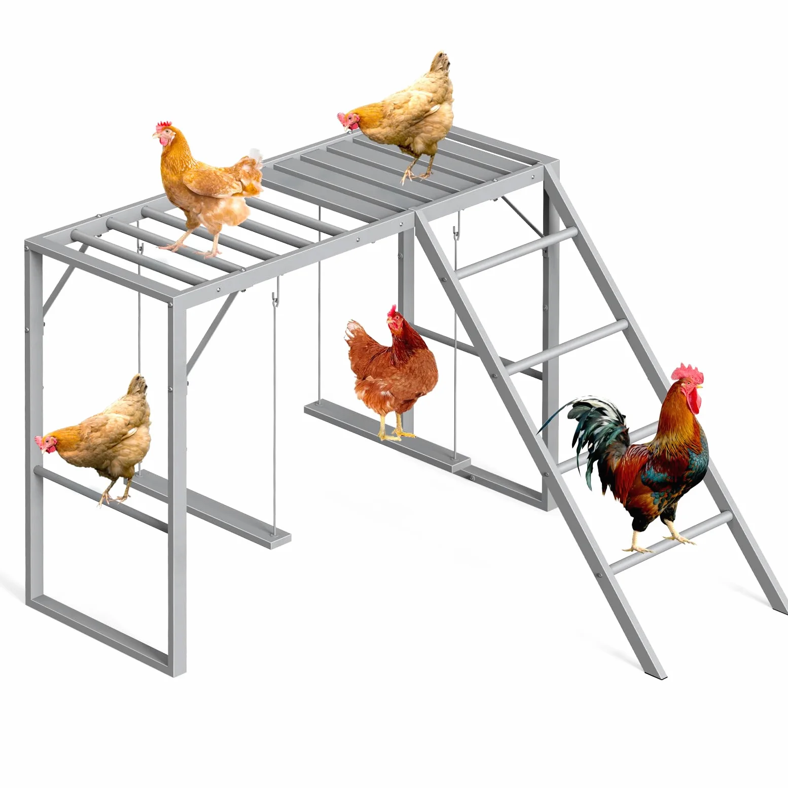 CADUKE Percha de pollo con juegos de columpios para 5-8 pájaros, juguetes de pollo, barras de pollo para accesorios de gallinero, escalera de pollo para la salud y la felicidad de las mascotas, gris