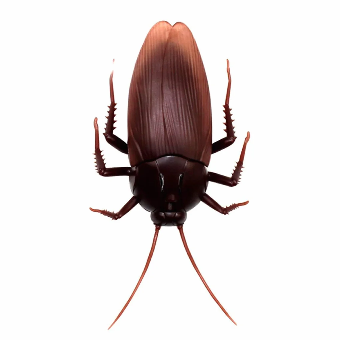 Cucaracha eléctrica RC Control Remoto Infrarrojos para niños Halloween