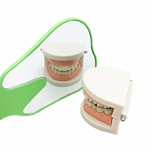 Espejos de cara dental para paciente forma molar color aleatorio 5 piezas