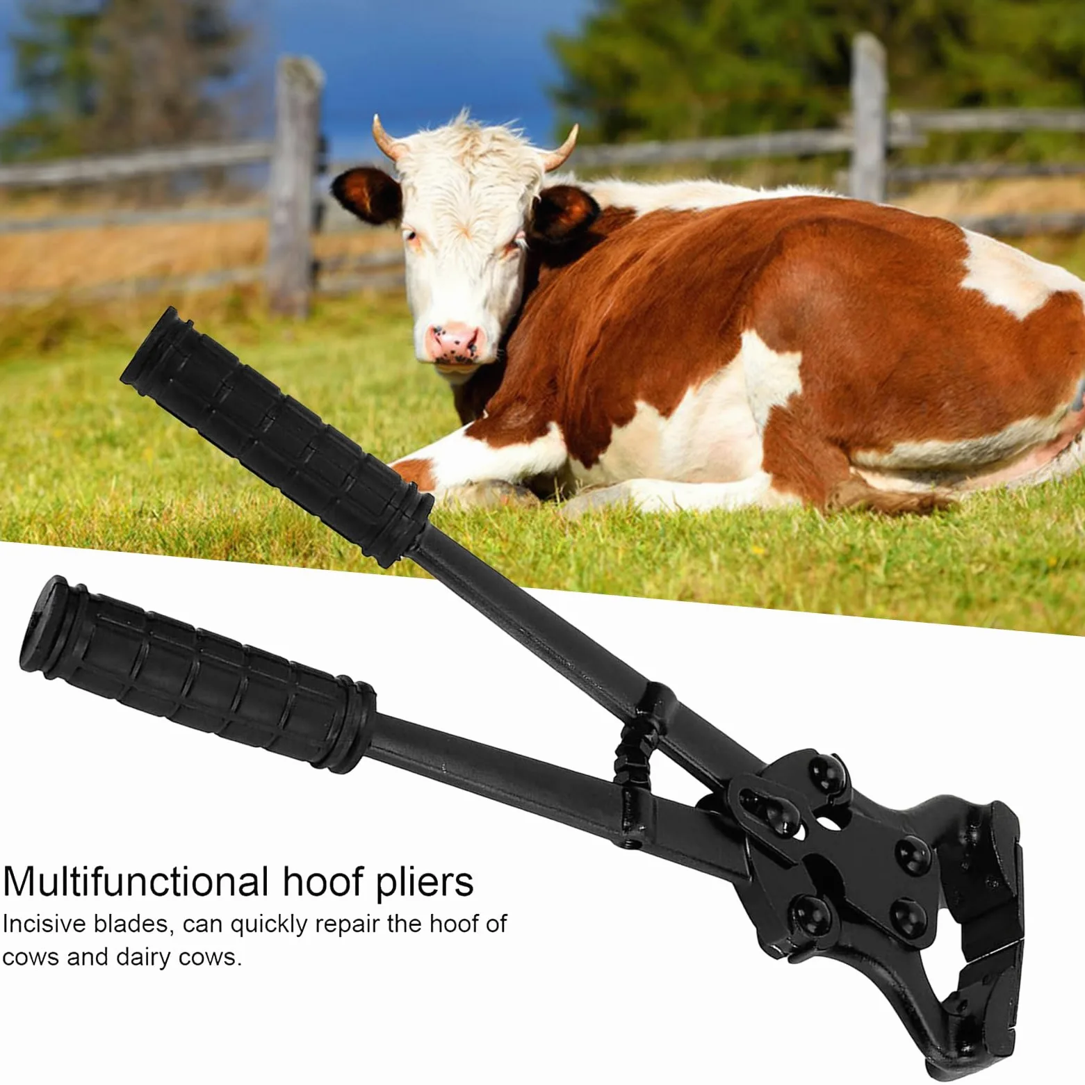 Alicates Para Cascos De Caballo Herramientas Y Dispositivos De Reparación | Tenazas De Acero Al Carbono Para Cabras Ovejas En Caballos Ganado Bovino Alpacas Y Ovejas