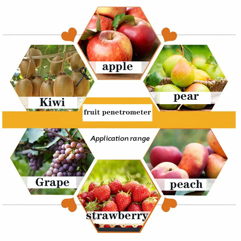 Penetrometro Fruta, Penetrómetro de Fruta Esclerómetro, GY-3 Penetrómetro de Firmeza de Fruta, PenetróMetro de Mano de Frutas con 2 Cabezales de MedicióN, para Determinar el Nivel de Madurez de Fruta