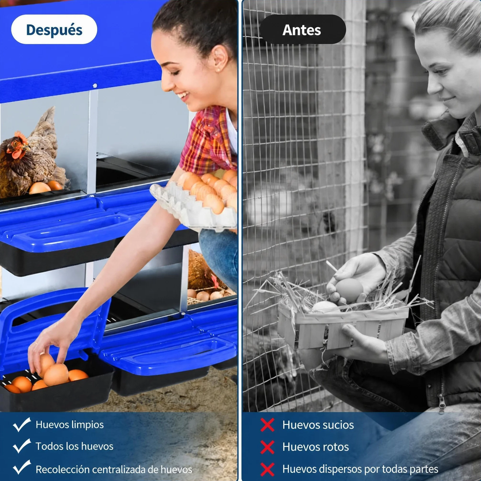Garvee Caja De Anidación para Gallinas 6 Compartimentos Acero Galvanizado Antióxido Tapa Extraíble