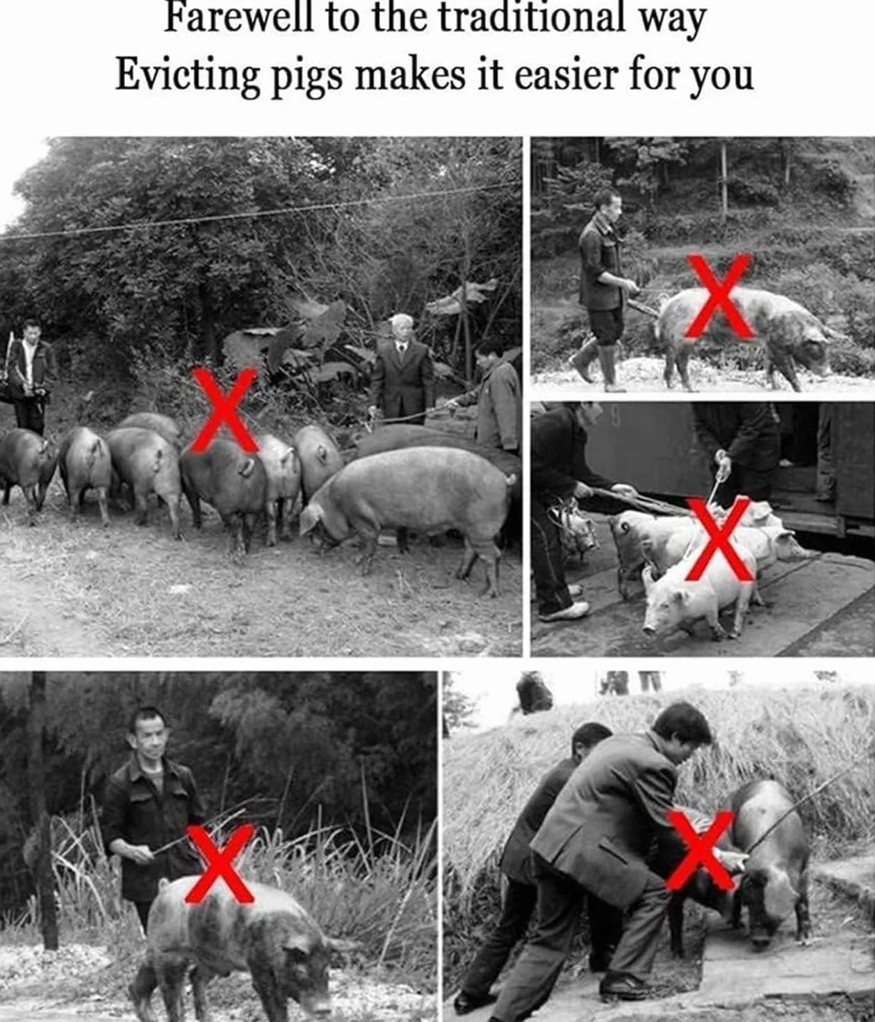 Prod Eléctrico para Ganad,Palo Eléctrico para Conducir Cerdos,Palo De Seguridad para Ganado Animal,Empujador Recargable para Vaca,Cerdo,Ganado,Cabras Y Perro Grande