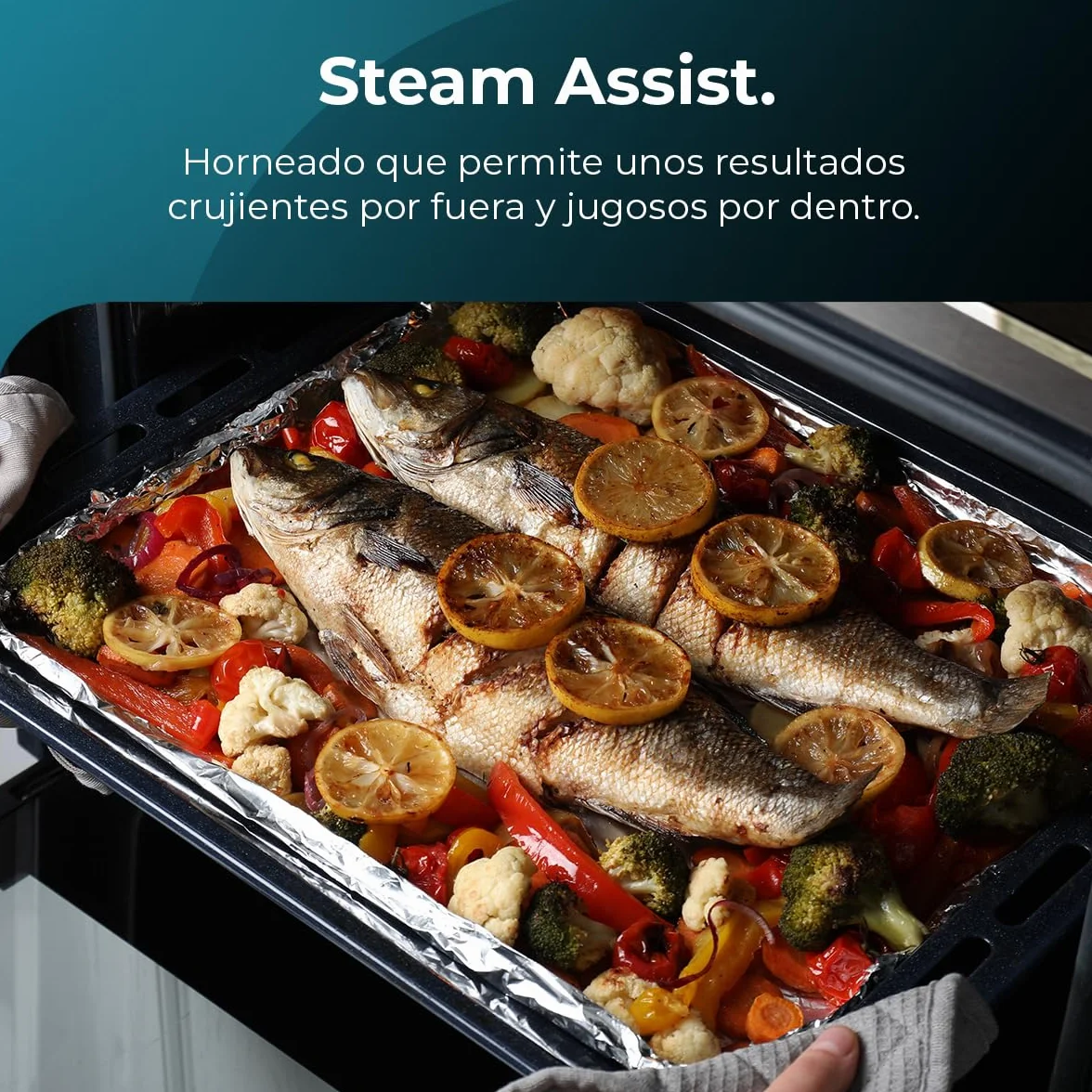 Cecotec Horno Integrable Convencional Bolero Hexa C136000 2800W 77L Steam Assist Triple Glass