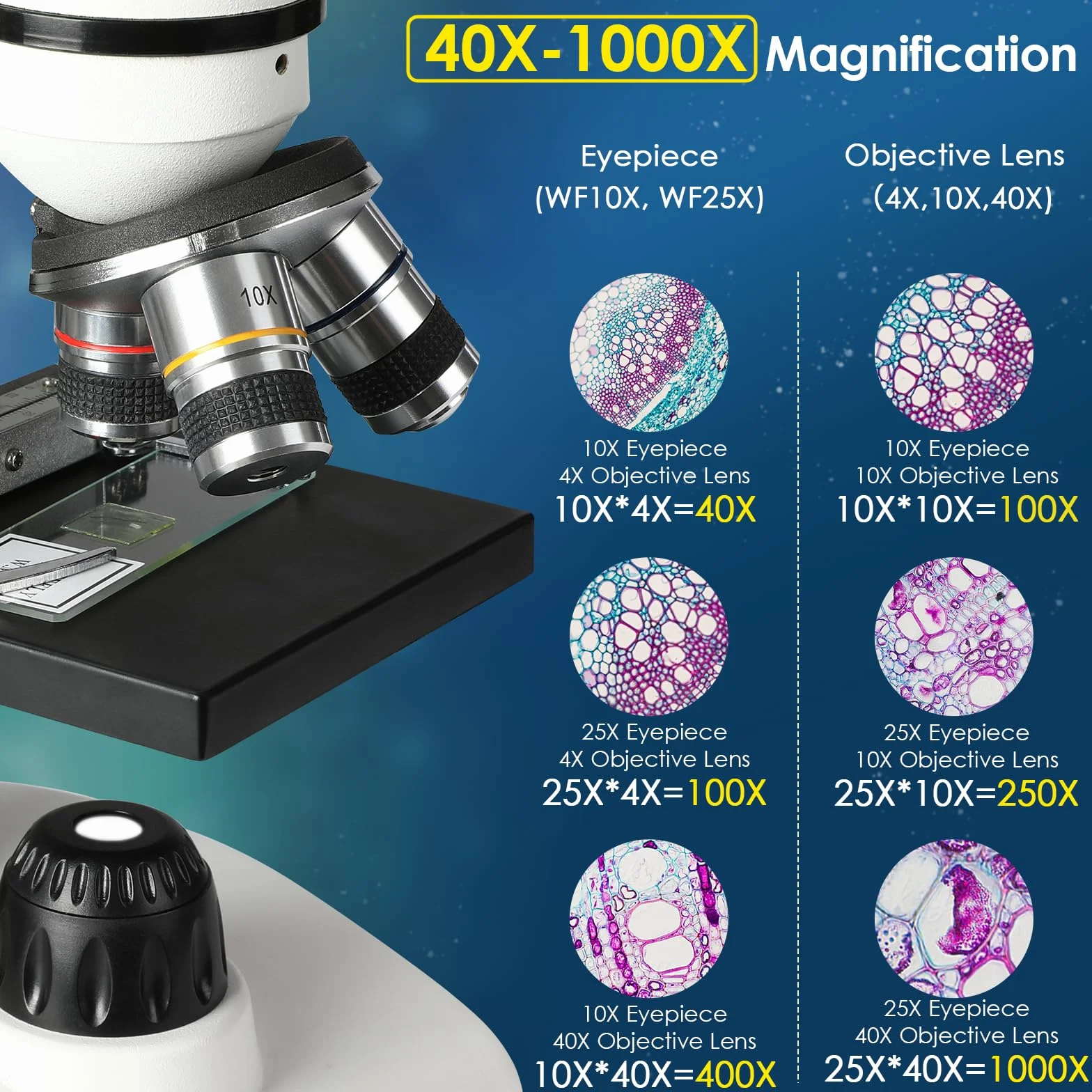 Microscopio Binocular 40X-1000X Etapa Mecánica Doble Capa Soporte Teléfono Móvil Laboratorio Investigación
