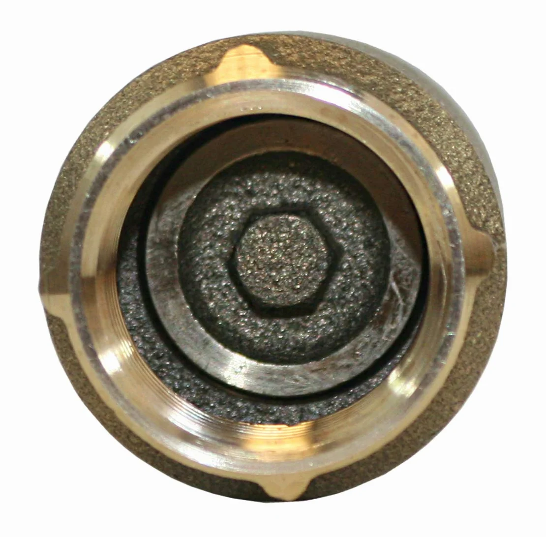 Merrill MFG CVNL100 - Válvula de retención de latón sin plomo de 1 pulgada, serie 700, 1 pulgada