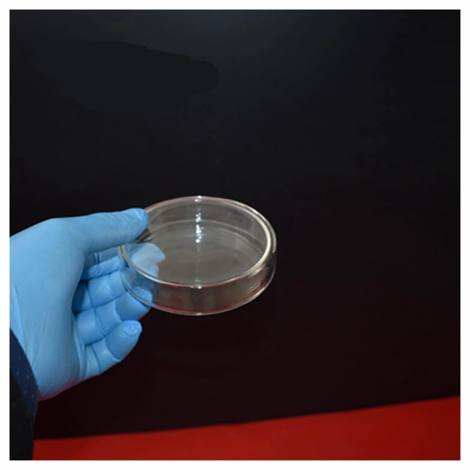 5 Unids/lote 150 MM Placa De Petri De Vidrio De Alta Calidad For Placa De Laboratorio Diámetro De Levadura Bacteriana