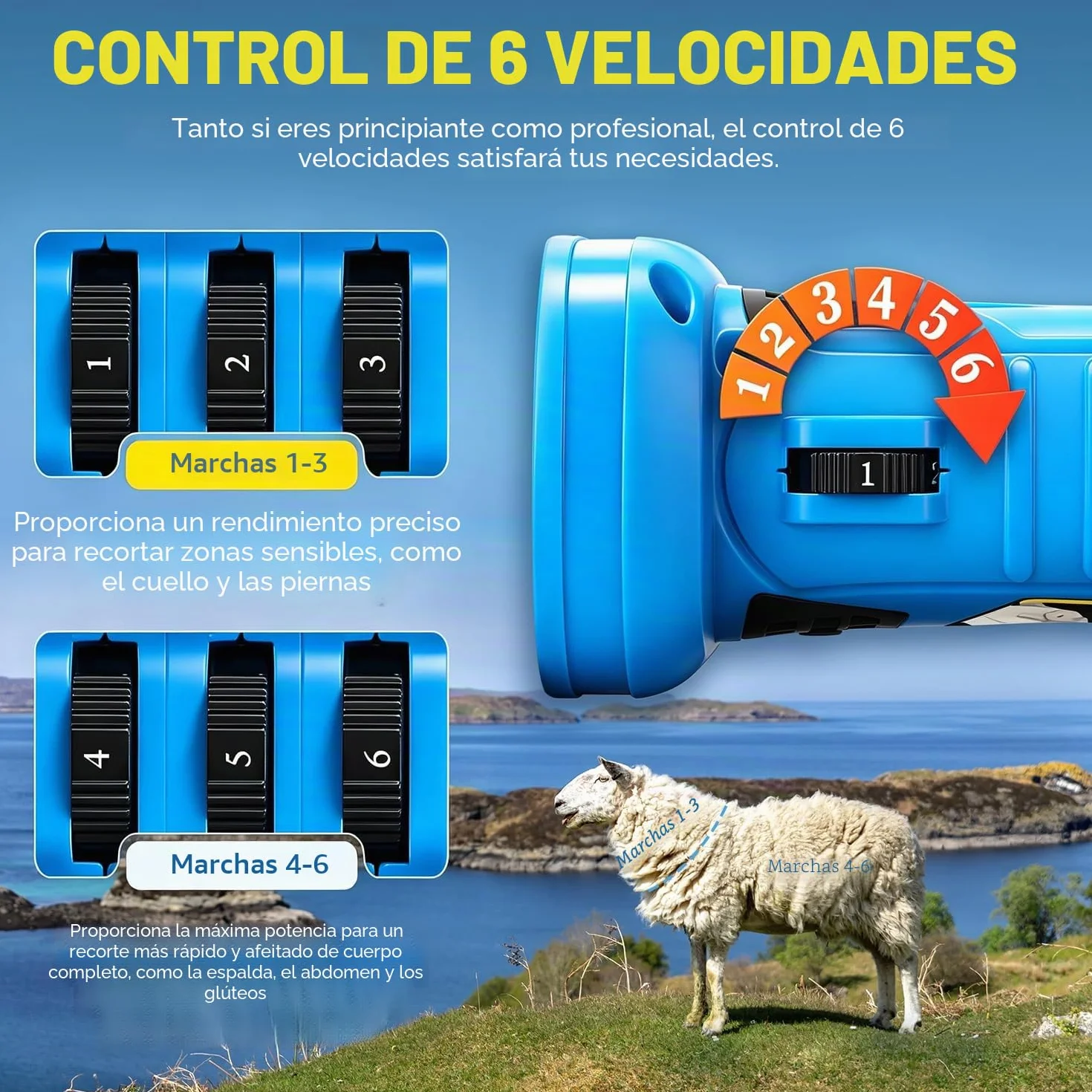 CGOLDENWALL Esquiladora para Oveja Inalámbrico 550W 2400RPM, con 2 Baterías de Litio Recargables 2000mAh, 6 Velocidades Ajustables, Cizalla para Cabra Alpaca Camello - Aceite lubricante Incluido