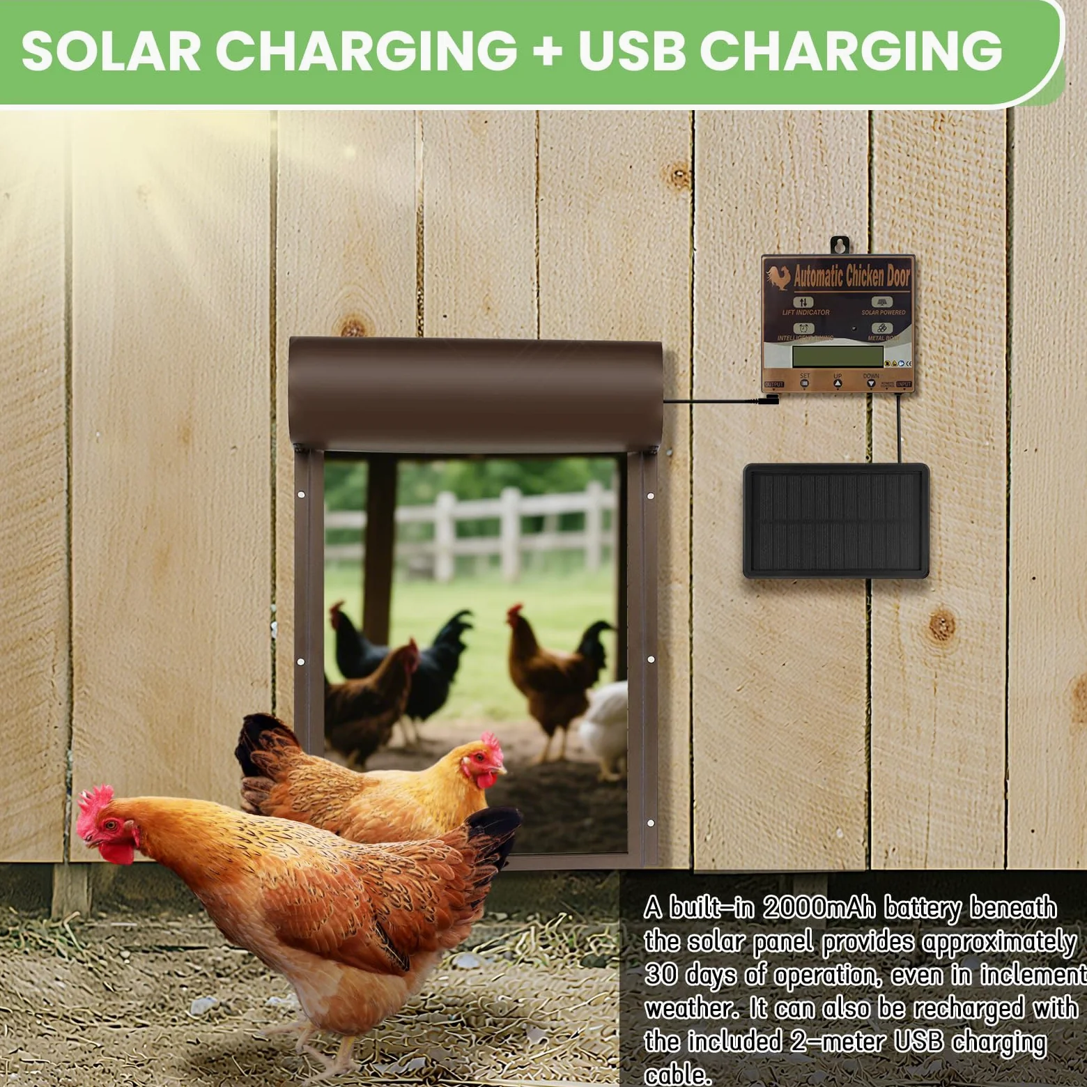 Batería automática de gallina, Puerta de Pollo eléctrica automática | con temporizador, panel solar, mando a distancia, manual, protección inteligente contra pellizcos