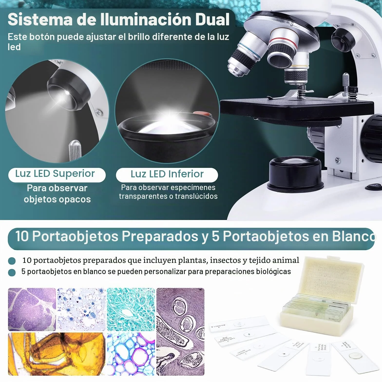 MAXLAPTER Microscopio Binocular para Adultos y Niños - Juego de Microscopio Compuesto 40X-1000X con Muestras y Adaptador de Teléfono Móvil, Adecuado para Uso Escolar en Casa