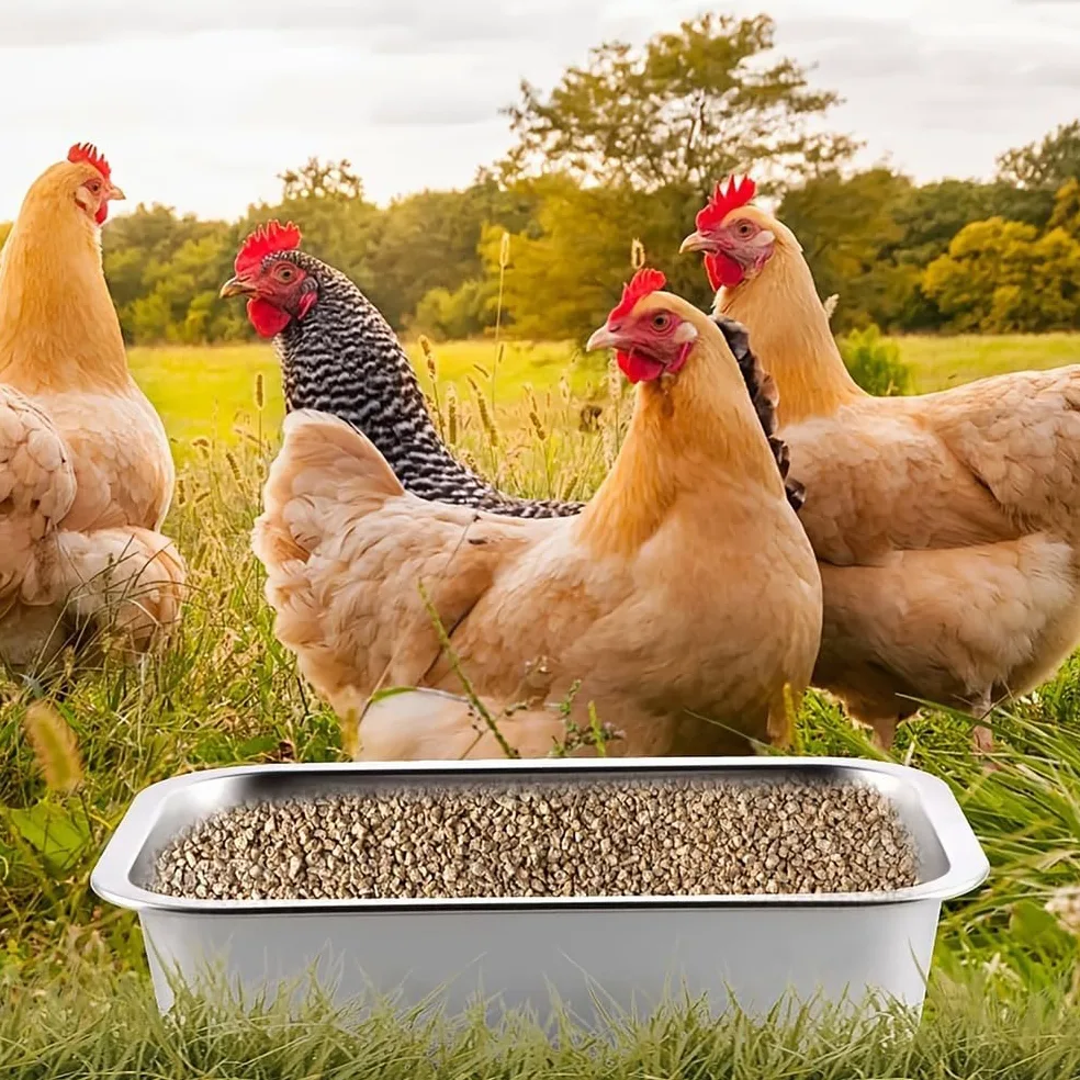 Alimentador de pollo de gran capacidad, equipo de riego de ganado de acero inoxidable para pollos, patos y cerdos, accesorios para gallineros