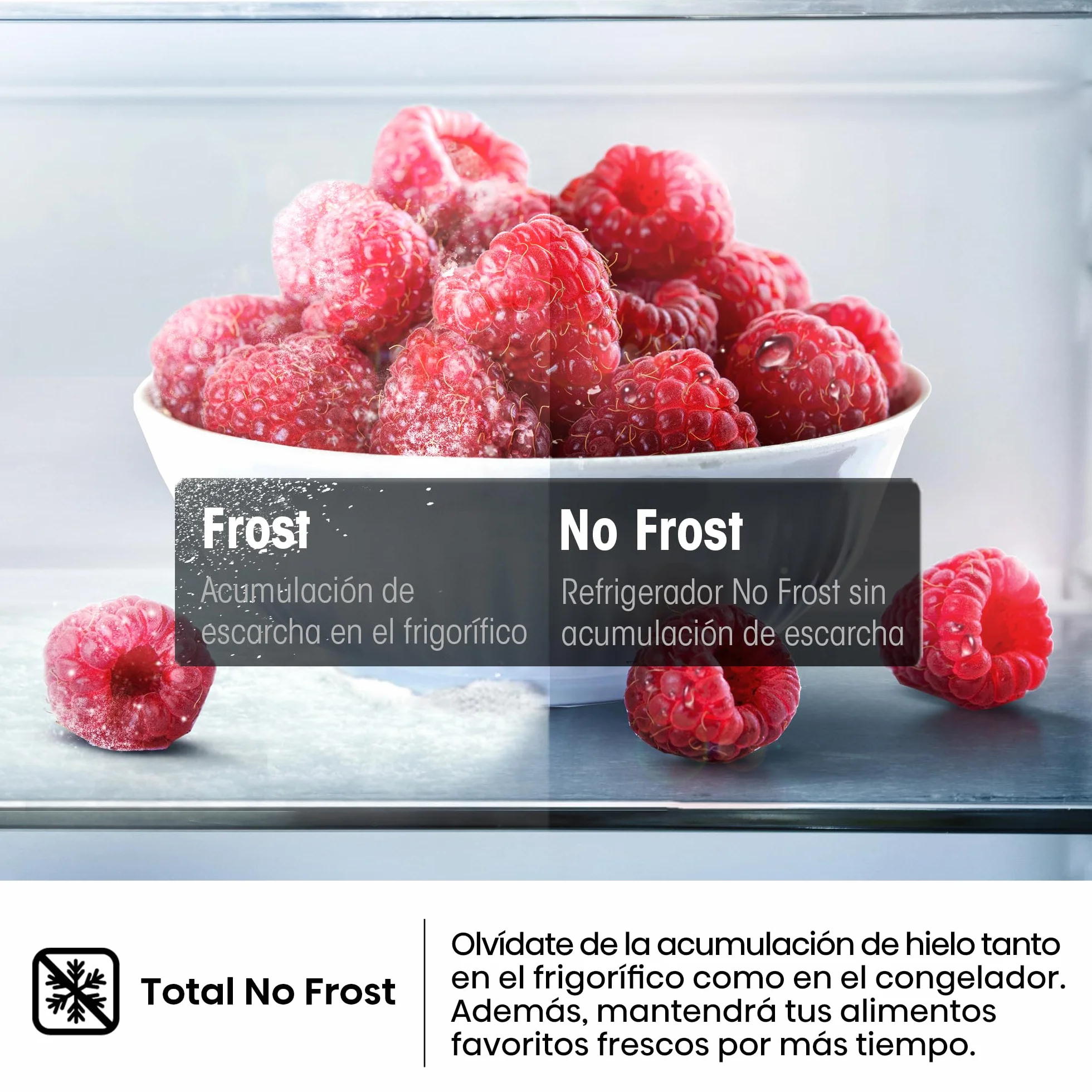 Hisense RT327N4AWE Frigorífico 2 Puertas Total No Frost 249L 168cm Multi Airflow Puerta Reversible Iluminación LED Blanco