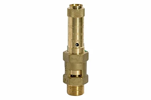 RIEGLER 104874-229.02-3,0 Válvula de seguridad, latón, G 3/4, presión de respuesta 3 bar, 1 unidad