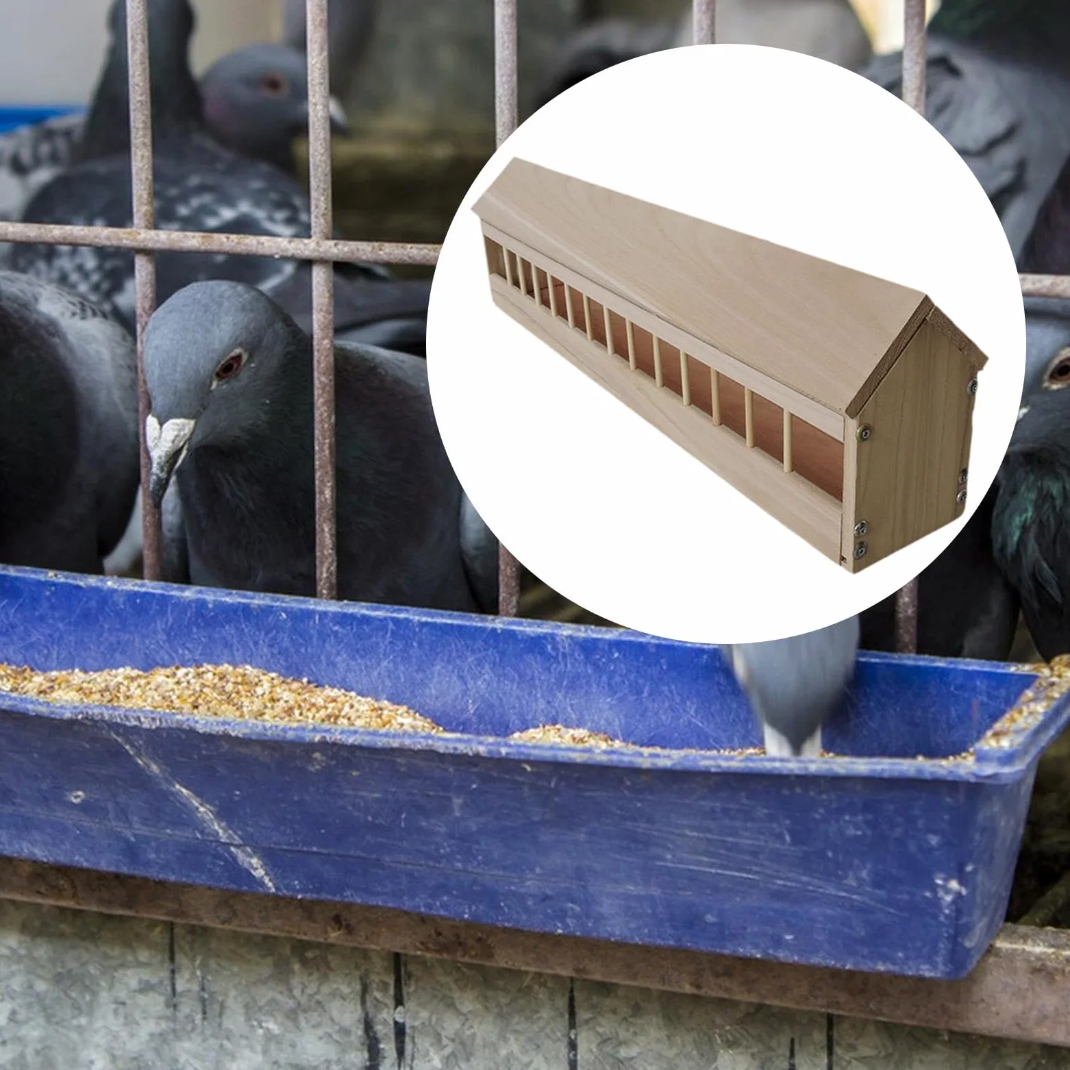 Comedero para Palomas Comedero para Pollos Plato para Aves de Corral Y Alimentador para Codornices de Madera Resistente para Uso Continuo Adecuado Pa, 80cm