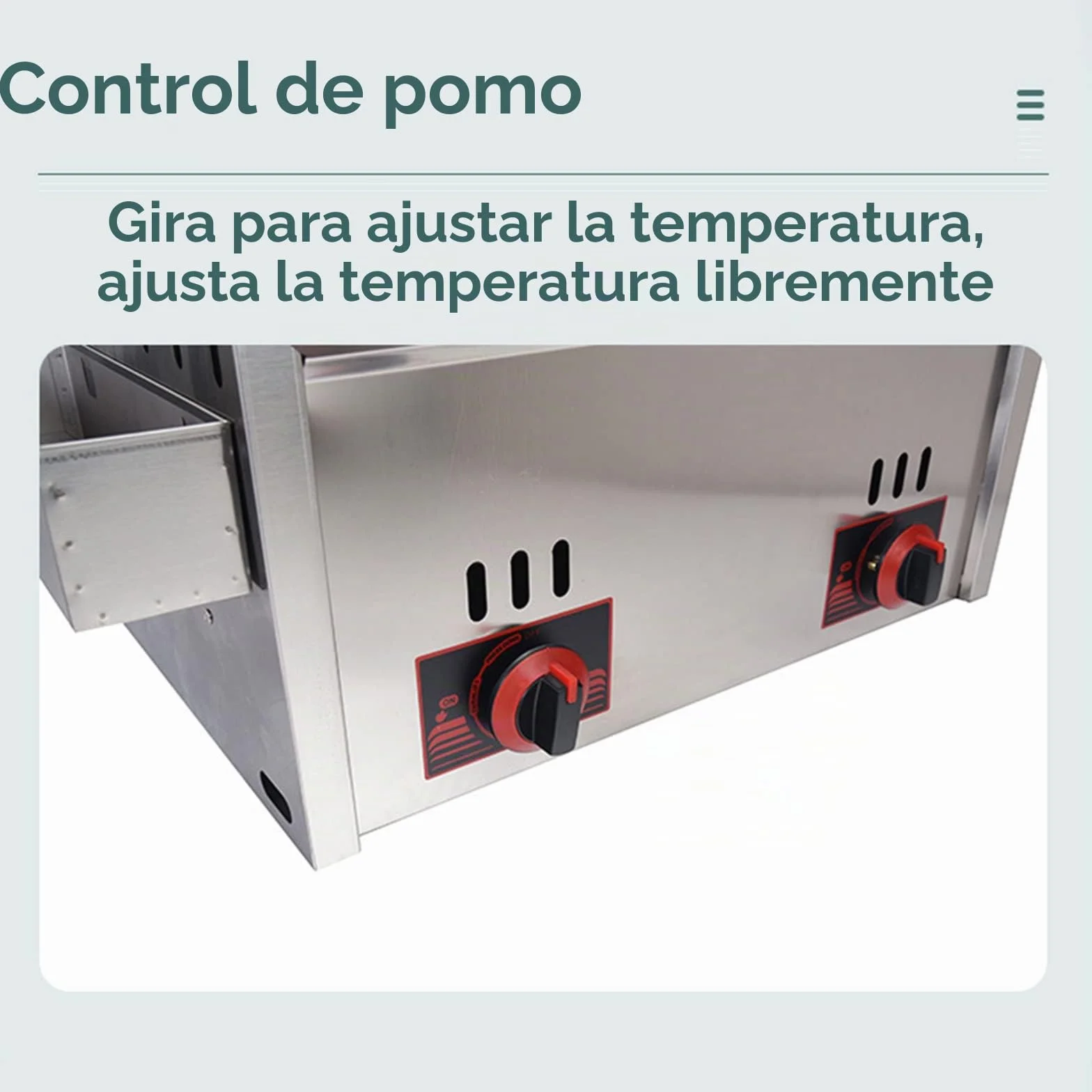 Freidora de gas comercial con tanque de condimentos de acero inoxidable, profesional de 10 L x 2, cocina eficiente, ideal para restaurantes familiares, incluye 2 cestas para papas fritas