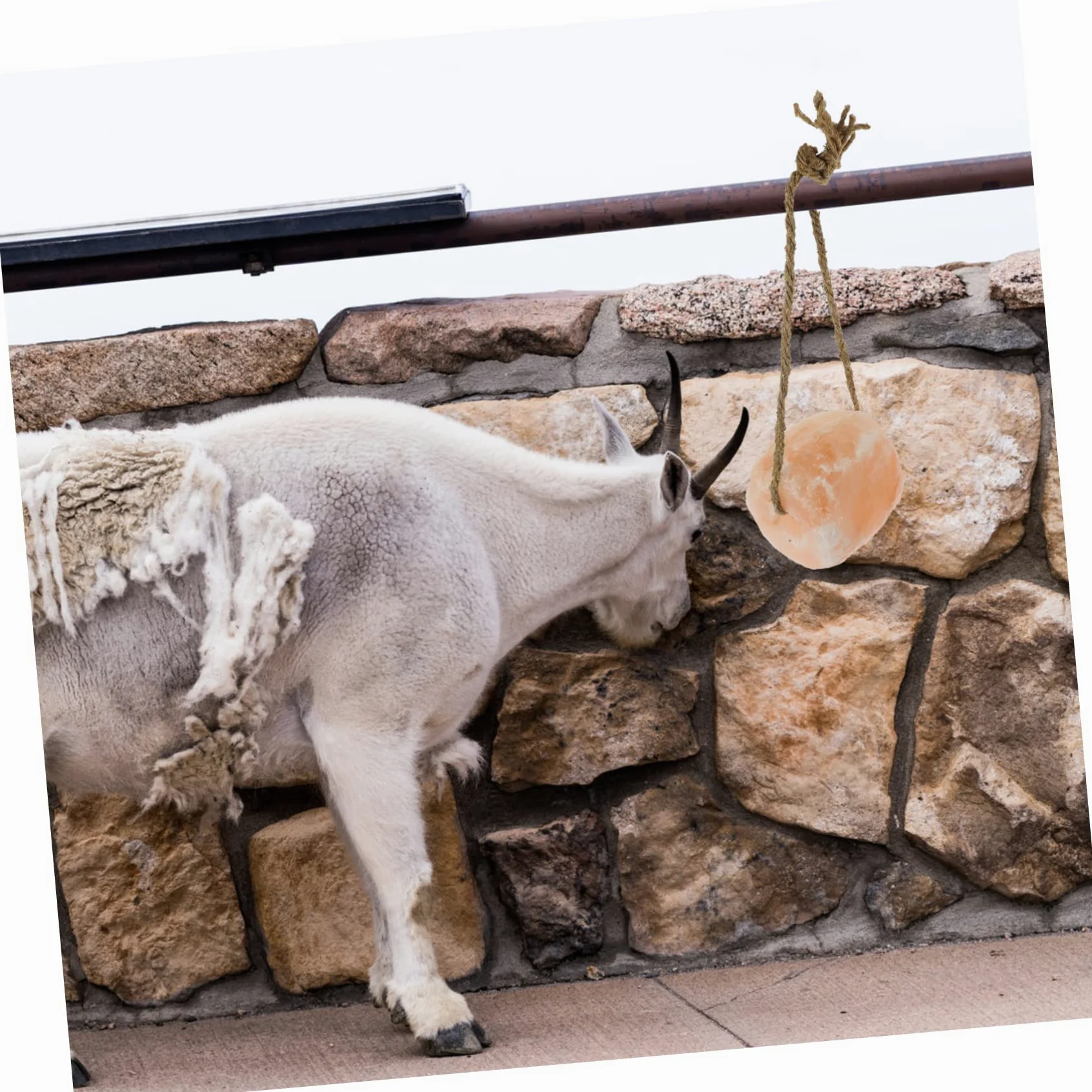 DOITOOL Bloque Mineral Para Ganado Bloques Naturales Para Lamer Colgante Suministro De Granja Para Caballos Vacas Ovejas