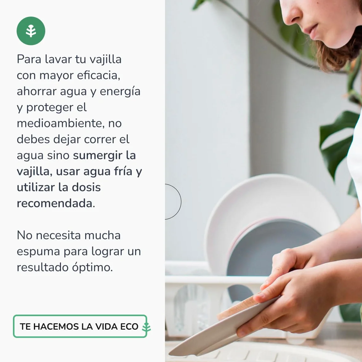 PLANETA HUERTO | Pack 6x Lavavajillas Manual Té Verde ECO 5 L | Detergente Ecológico Concentrado para una Limpieza Eficiente y Sostenible