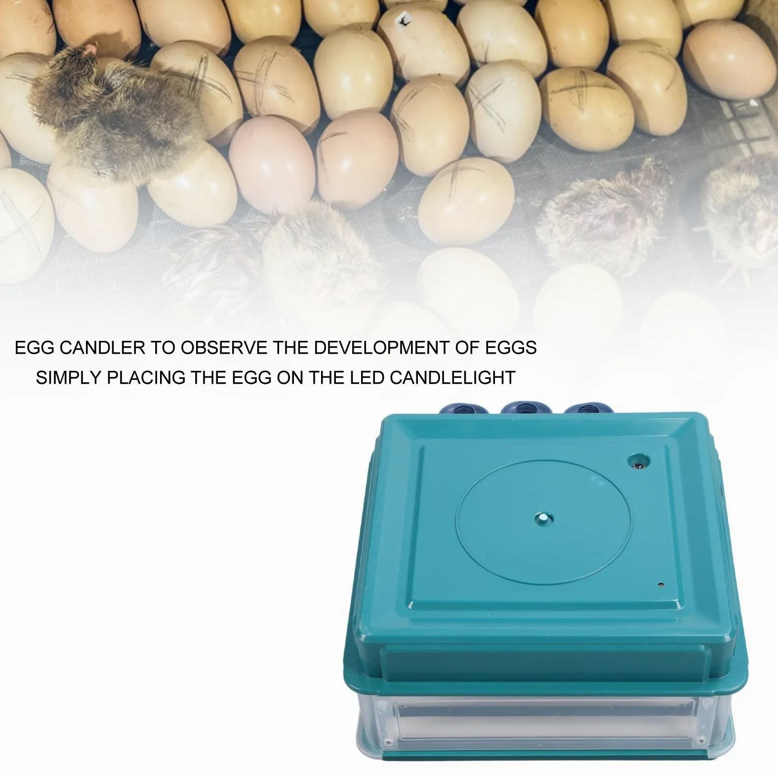Controlador de Incubadora de Huevos, Controlador de Temperatura de Incubadora de Fácil Observación, Luz LED con Giro Automático para Laboratorios (Enchufe europeo 220V 38 huevos)
