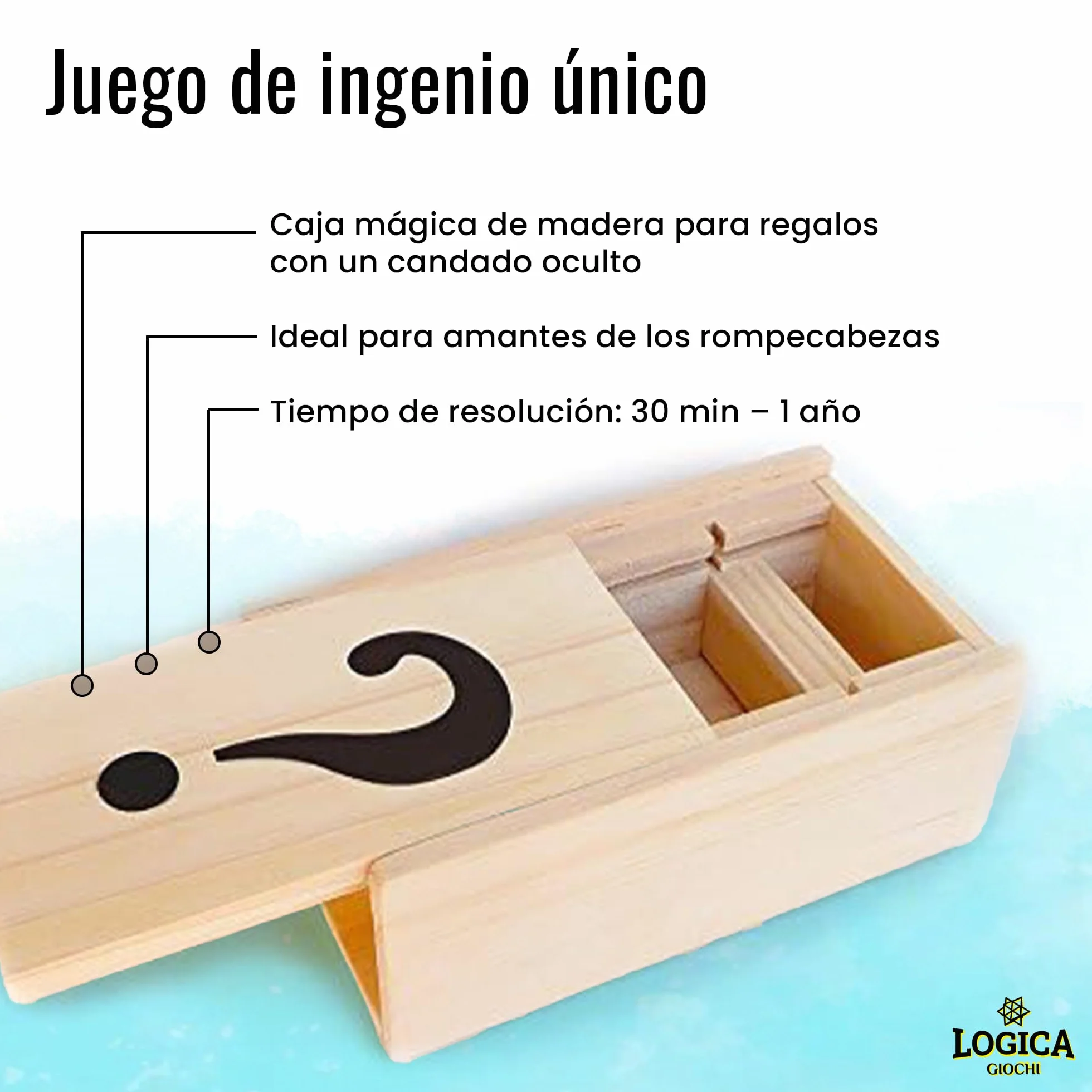 Logica Juegos Caja Secreta Rompecabezas de Madera Dificultad 5/6 Colección Leonardo da Vinci