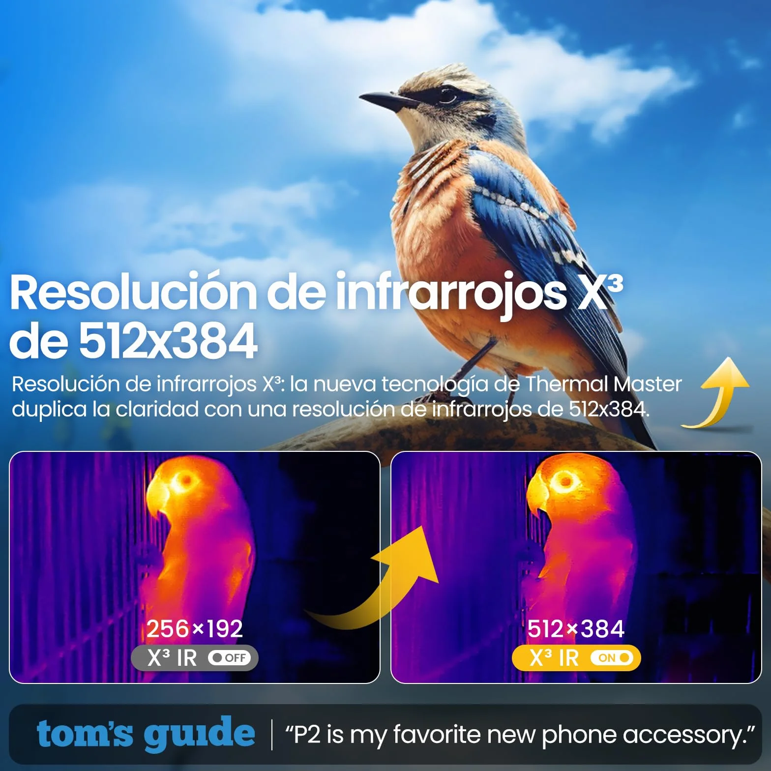 Thermal Master P2 Cámara térmica para teléfonos Android, cámara infrarroja X³ Resolución de Infrarrojos 512 x 384, imágenes térmicas para inspección de la casa, de -20 a 600 ℃, zoom de 15x