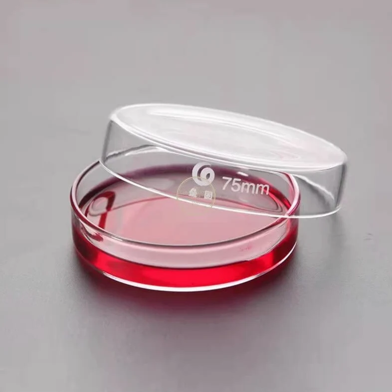 Placas de Petri de Vidrio Transparente con Tapas Microorganismos Célula Instrumento químico estéril Transparente Envío de la Gota Placas de Petri (Size : 60mm 10pcs)