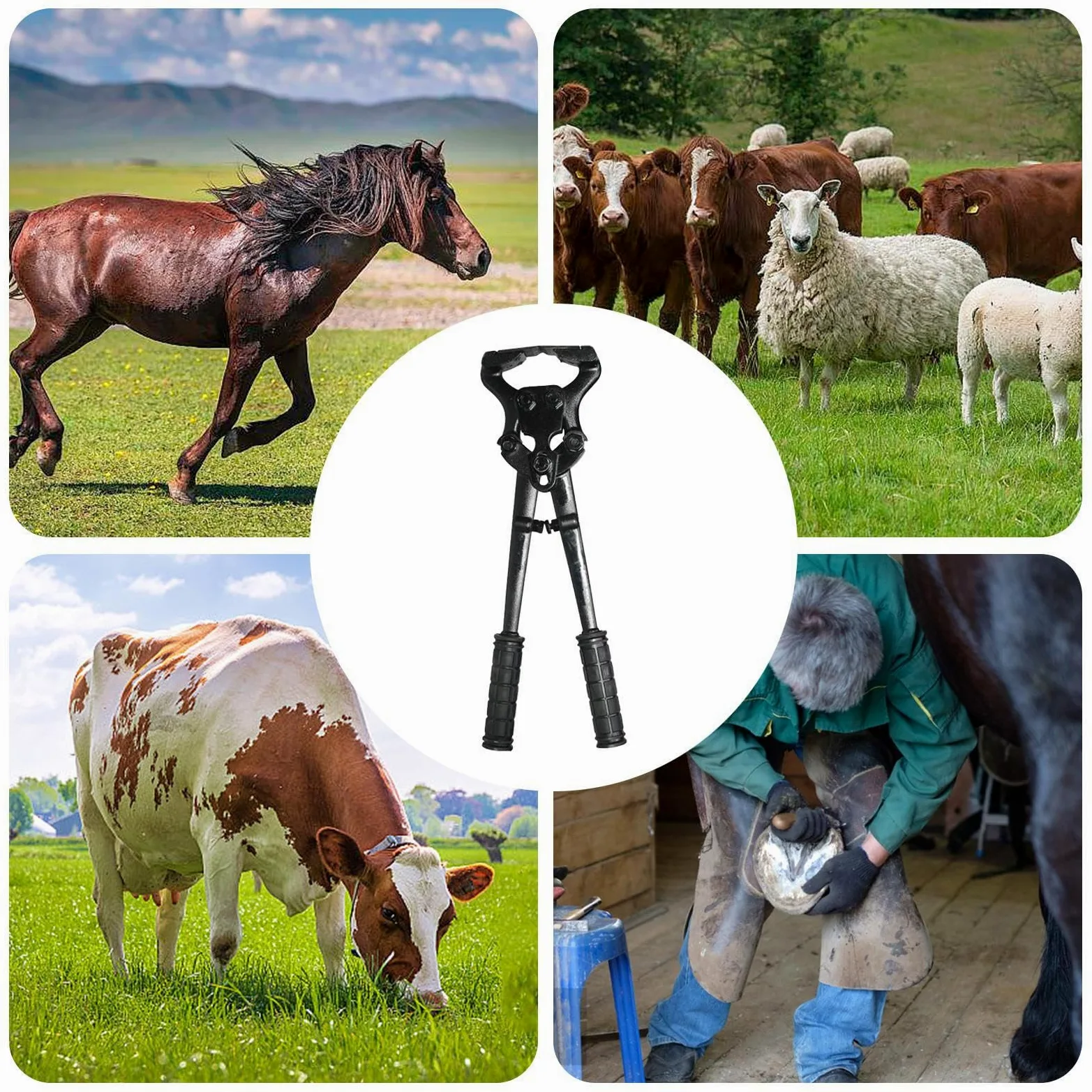 Alicates Para Cascos De Caballo Herramientas Y Dispositivos De Reparación | Tenazas De Acero Al Carbono Para Cabras Ovejas En Caballos Ganado Bovino Alpacas Y Ovejas