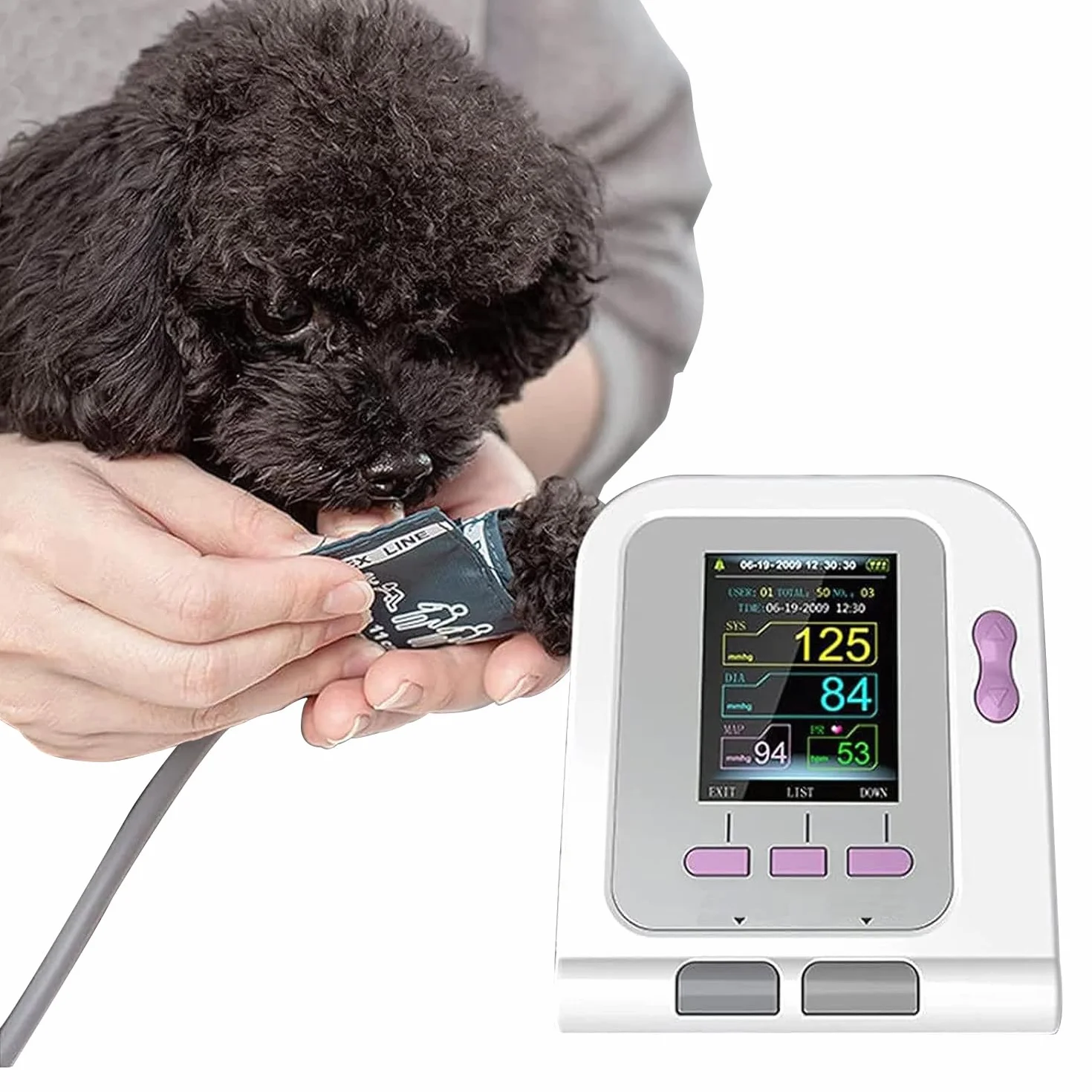 Ensiómetro Veterinario, Monitor de Presión Arterial Veterinario Digital, Esfigmomanom Electrónico de Medición Automática con 3 Puños, Equipo Veterinario de Escritorio para Perros / Gatos / Mascotas Cu