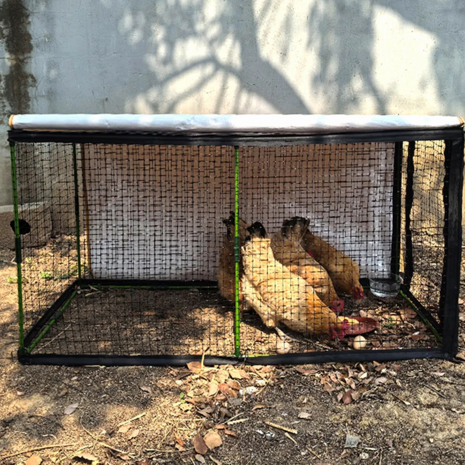 Gallinero Tipo, Resistente al Viento, de rápida instalación, con protección Solar, estaca de Suelo Estable, para Montar Mismo.