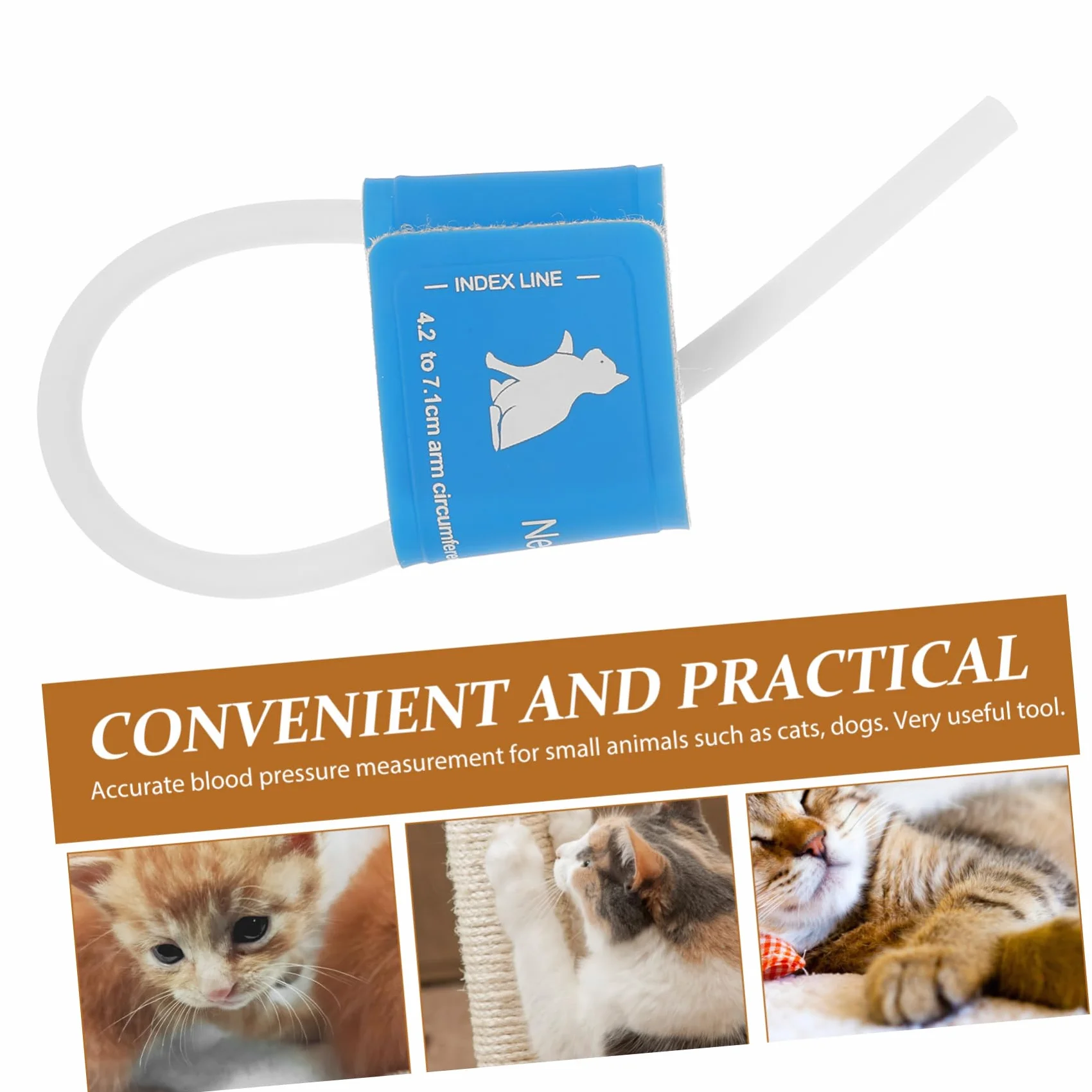 POPETPOP Suministros Veterinarios Reloj Automático Brazalete Tensiómetro Reutilizable Brazalete Arterial para Mascotas Paño Animal Suministros para Mascotas