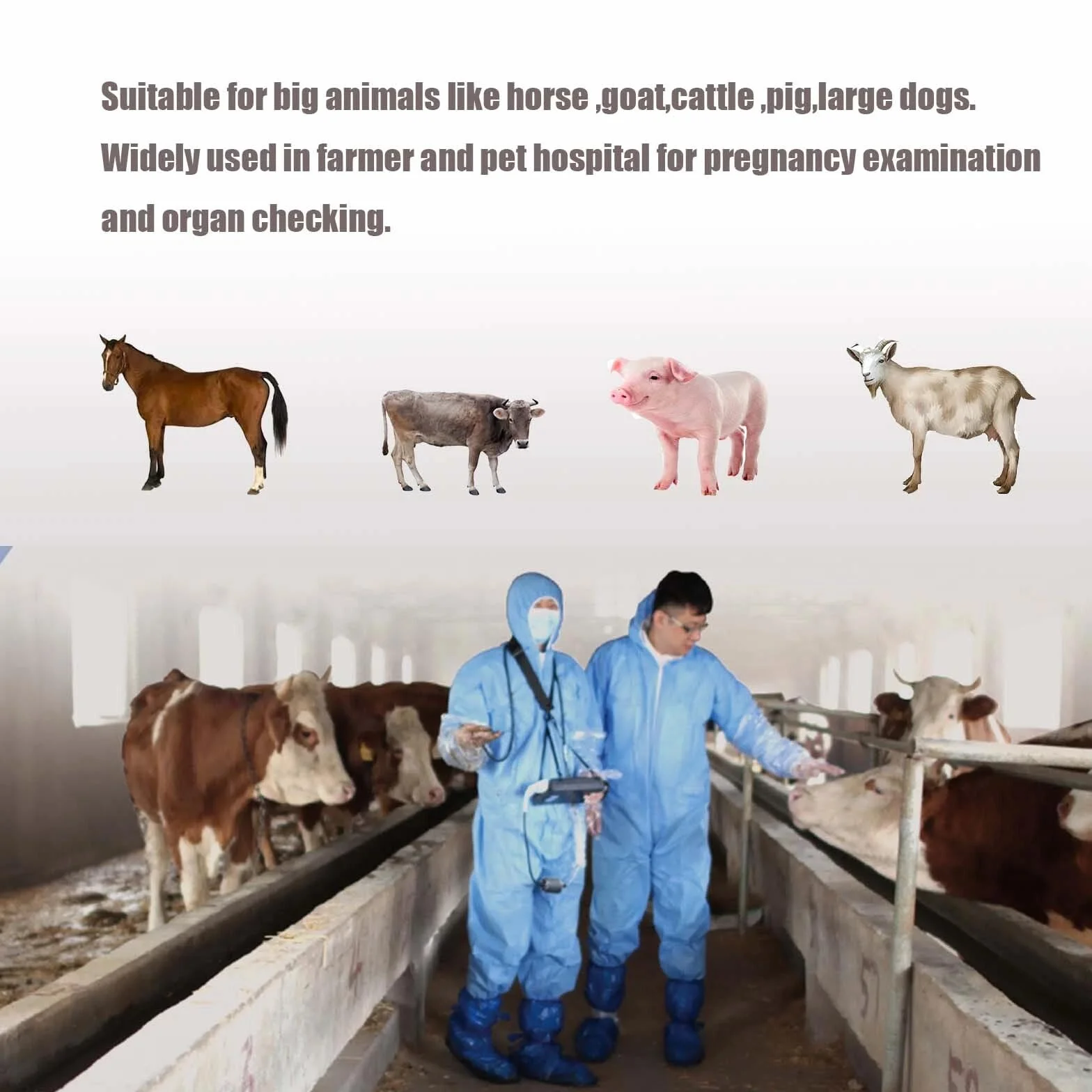 Máquina de ultrasonido veterinaria con sonda rectal y convexa de doble uso mejorada de 3,5 MHz para ganado y caballos, escáner veterinario portátil de mano para embarazo y chequeo de