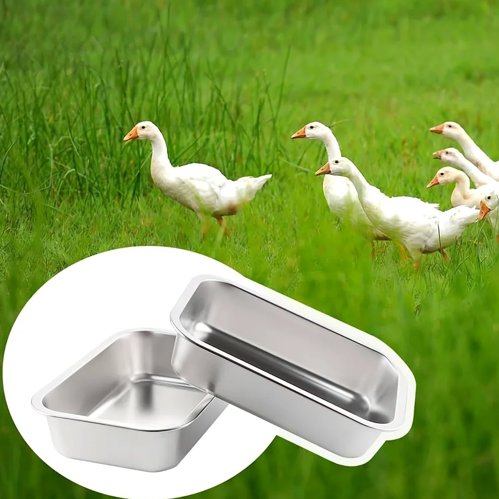 Alimentador de pollo de gran capacidad, equipo de riego de ganado de acero inoxidable para pollos, patos y cerdos, accesorios para gallineros
