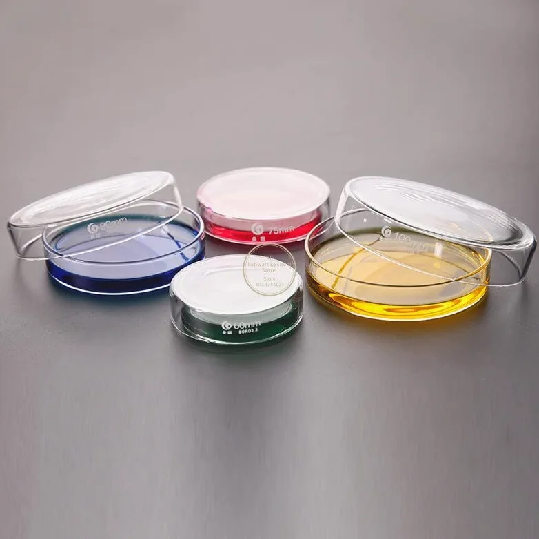 Placas de Petri de Vidrio Transparente con Tapas Microorganismos Célula Instrumento químico estéril Transparente Envío de la Gota Placas de Petri (Size : 60mm 10pcs)