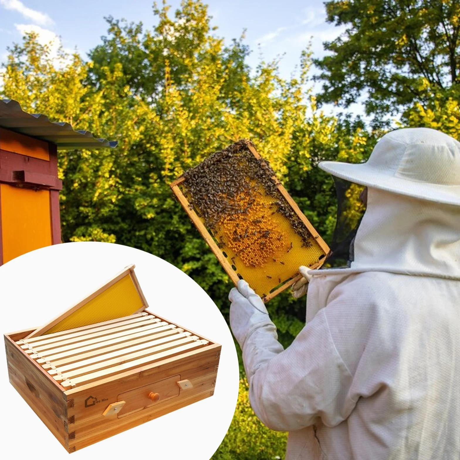 Set de inicio de colmena, caja de enjambre con 10 panales medianos, colmena de madera maciza con marcos de madera y base encerada, caja de colmena sostenible para apicultura, colmena con ventanas