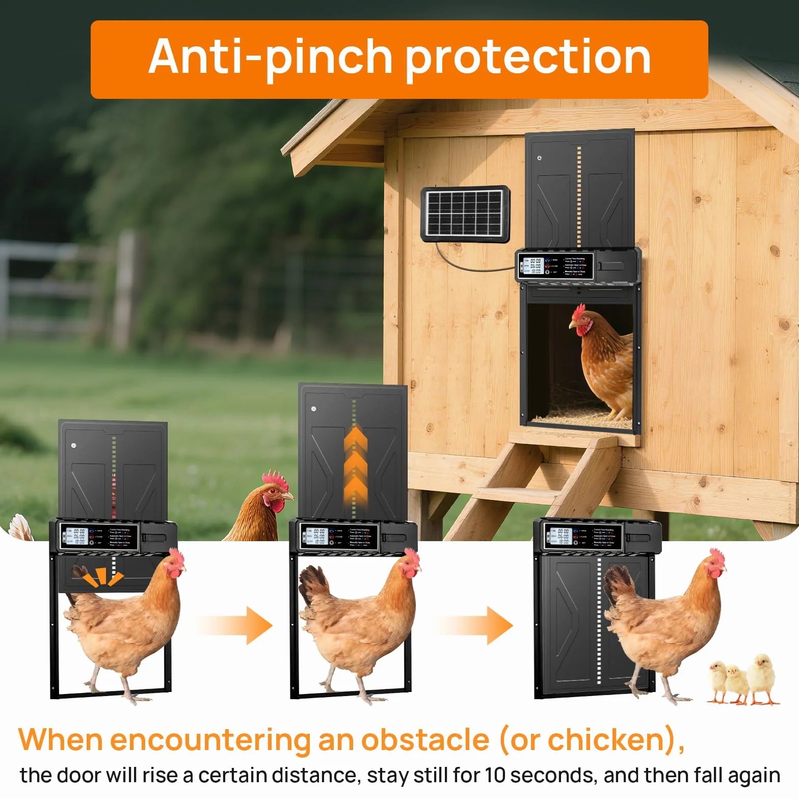 Puerta automática para gallinero solar impermeable control remoto para gallinas patos aves de corral