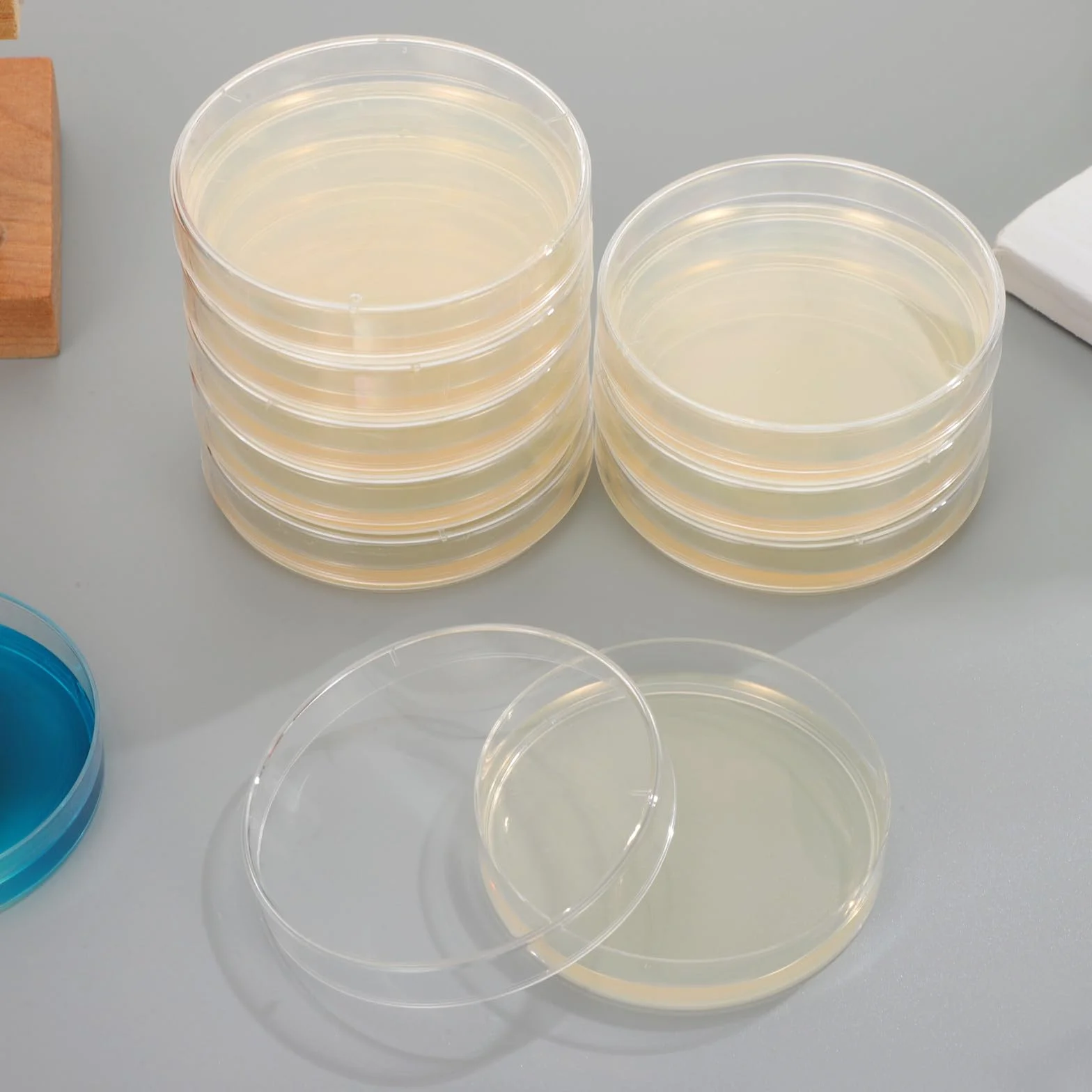 Placas de Petri con Agar Prevertido, Material de Cultivo Microbiológico, Crecimiento Rápido para Laboratorio