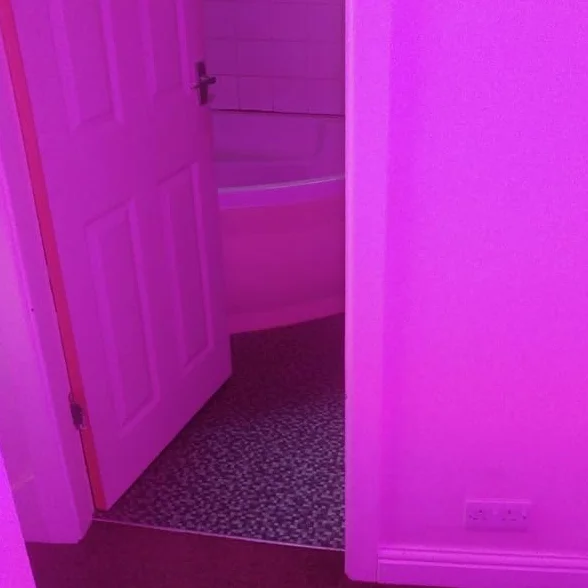Luz de cámara de espectro completo, iluminación de video LED FS de alta potencia para caza de fantasmas, equipo de caza de fantasmas, paranormal