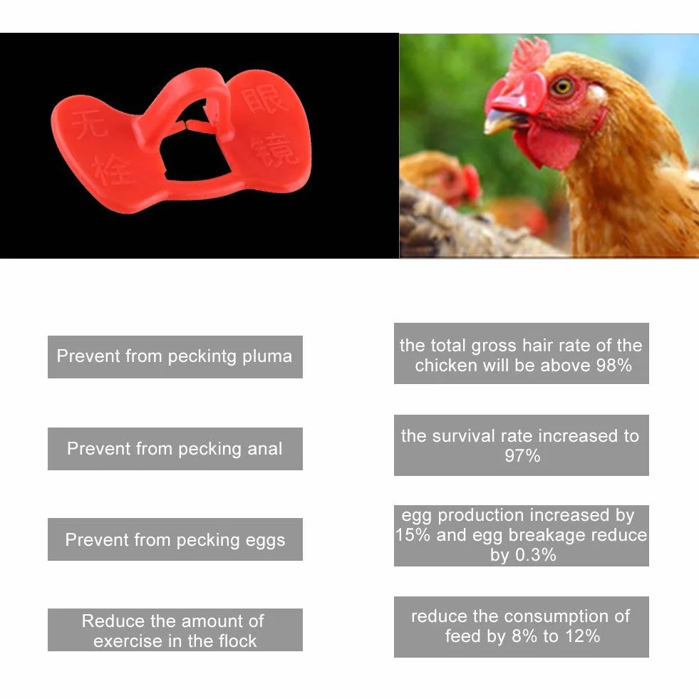 Walfront Gafas para Gallinas Anti-Picoteo con Alicates 20 Piezas