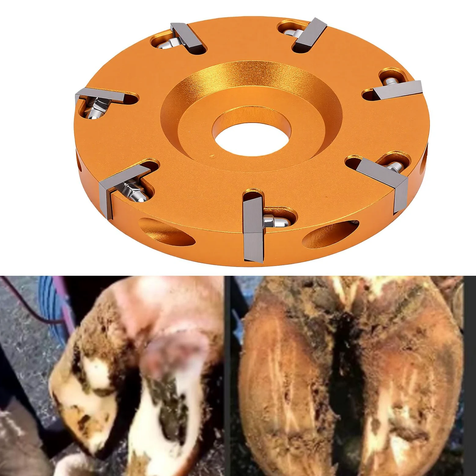 Zunate Muela Abrasiva para Cascos de Doble Cara | Disco de Corte de 7 Dientes para Amoladora Angular, Ganado, Ovejas, Caballos
